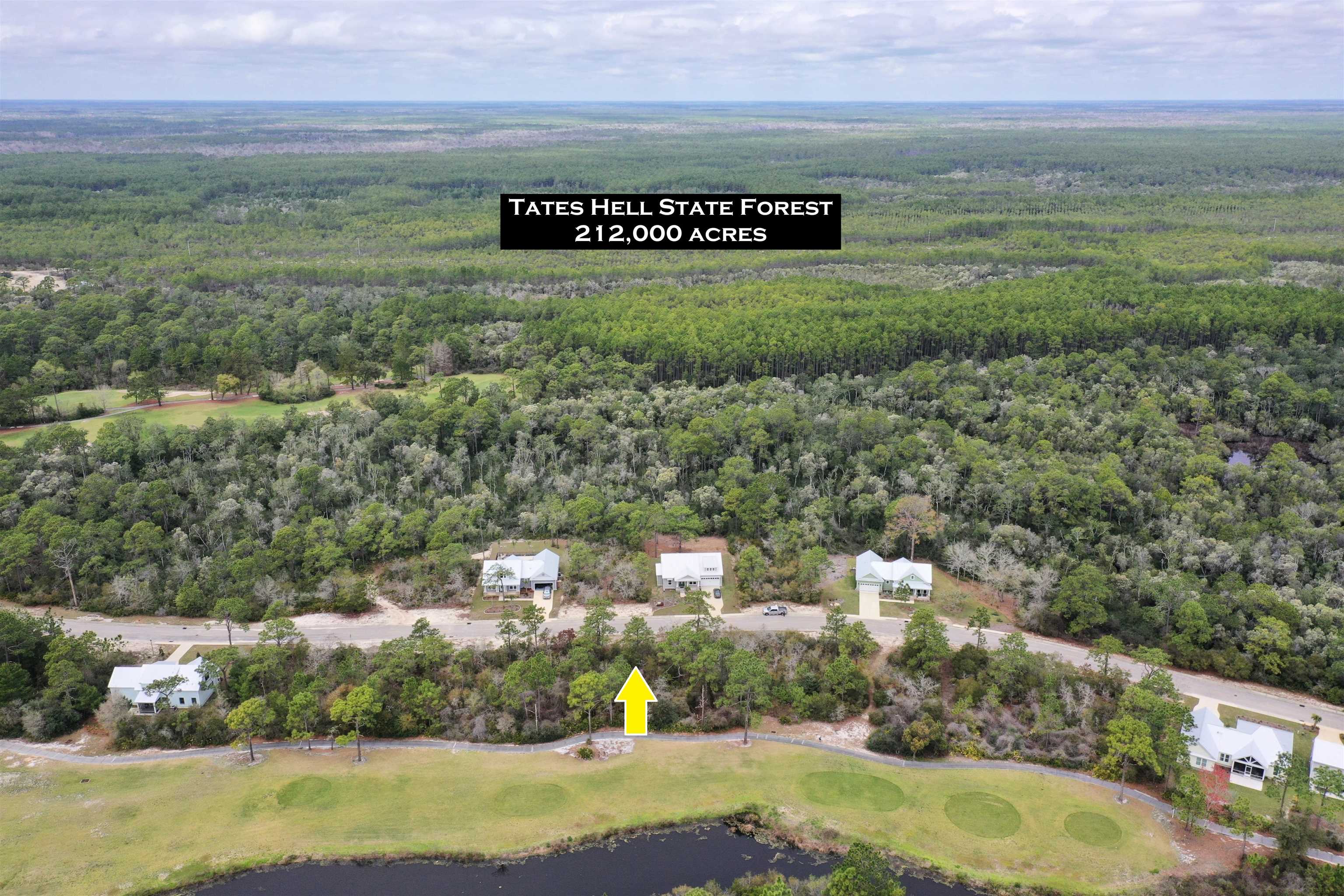 397 Royal Tern Way, Carrabelle, Florida image 19