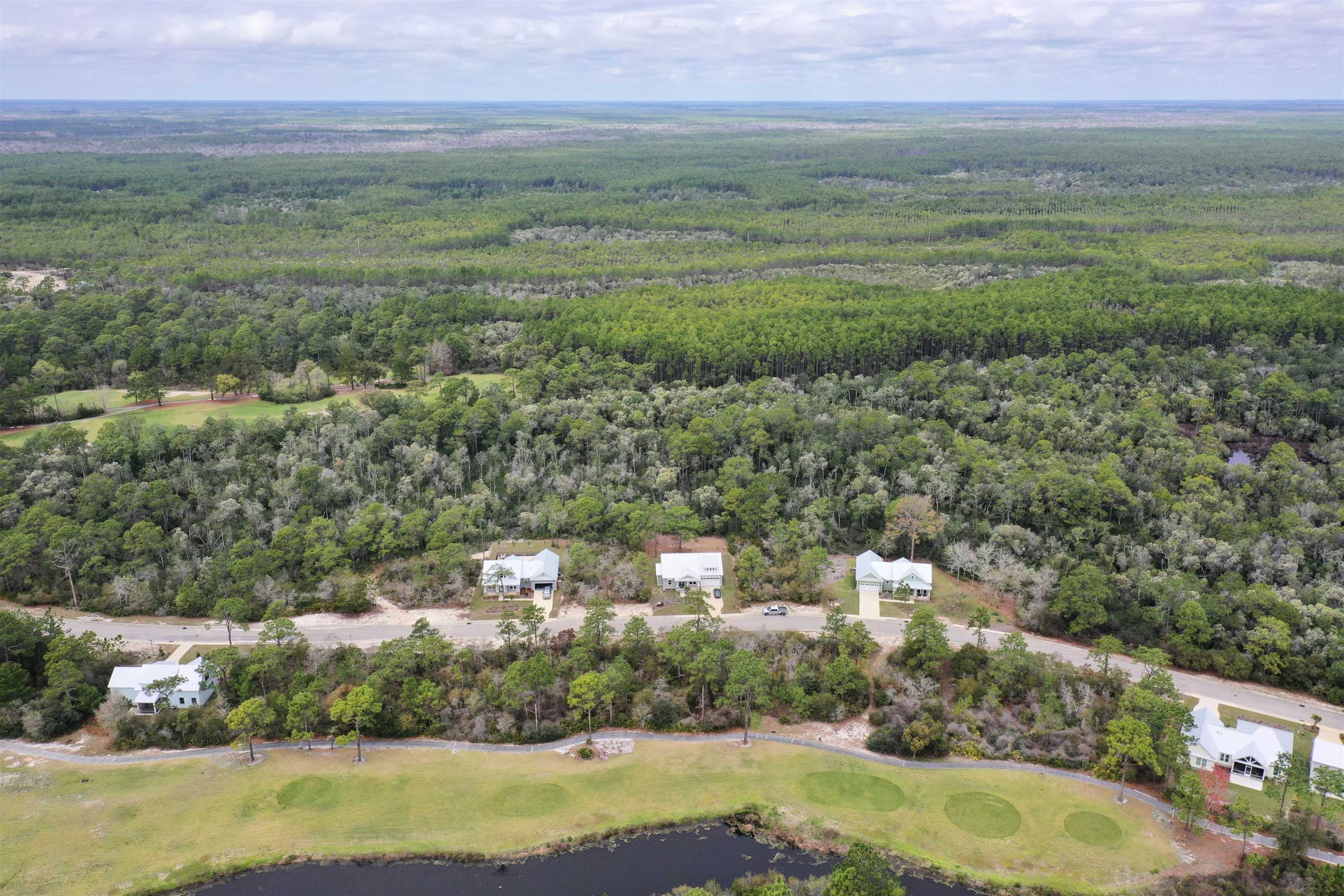 397 Royal Tern Way, Carrabelle, Florida image 20