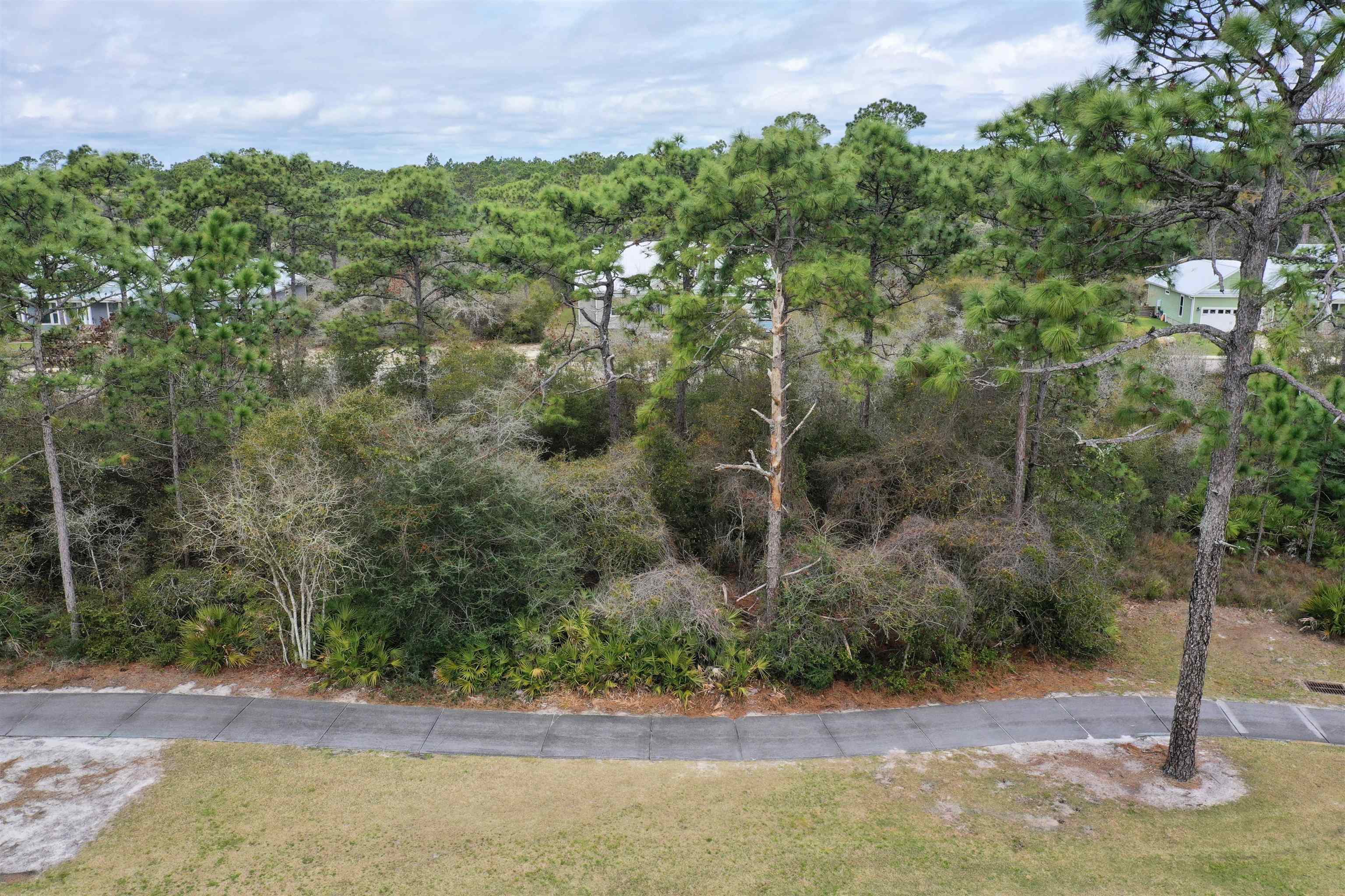 397 Royal Tern Way, Carrabelle, Florida image 24