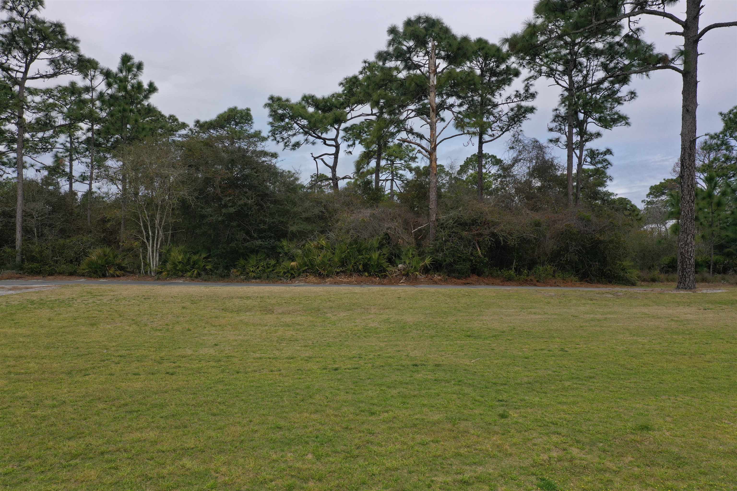 397 Royal Tern Way, Carrabelle, Florida image 25
