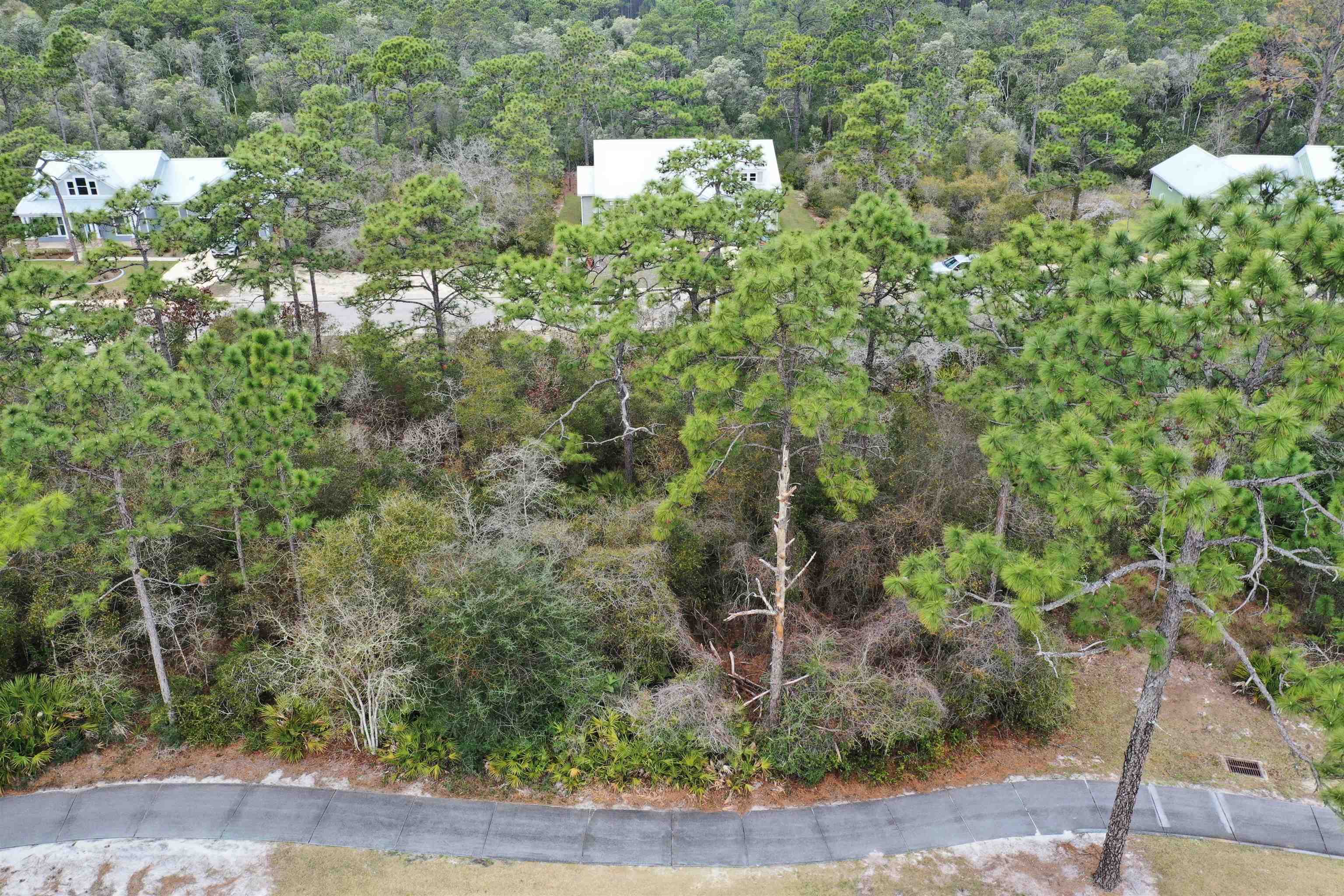 397 Royal Tern Way, Carrabelle, Florida image 26