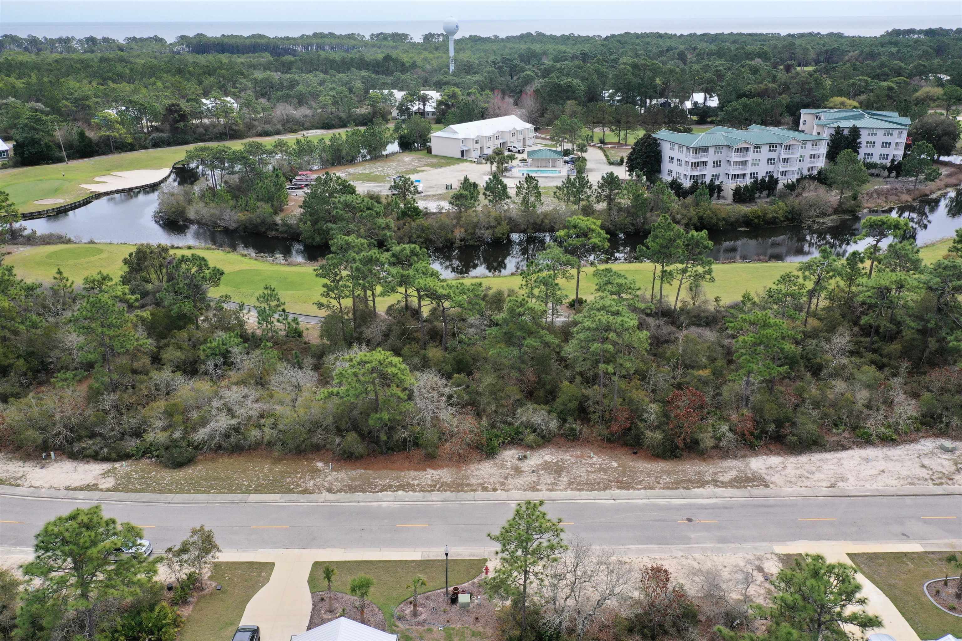 397 Royal Tern Way, Carrabelle, Florida image 6