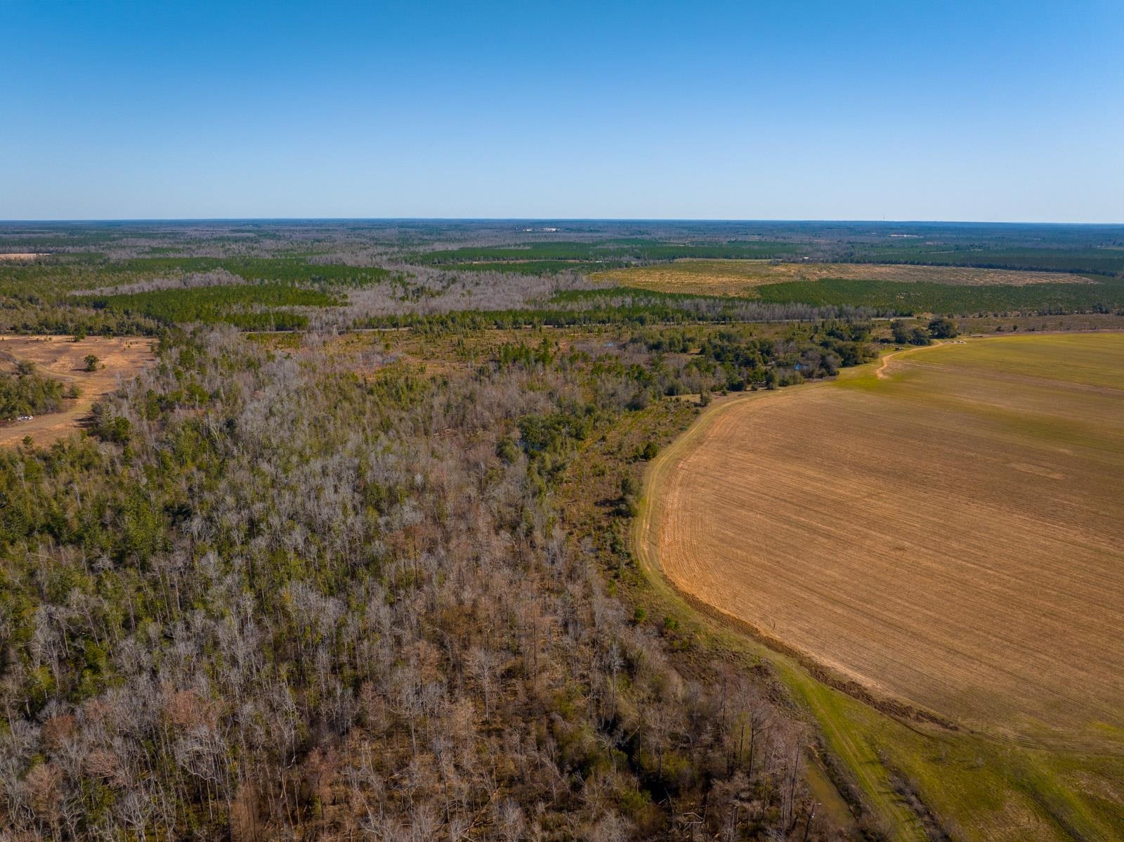 XXXX Rocky Creek Road, Marianna, Florida image 12
