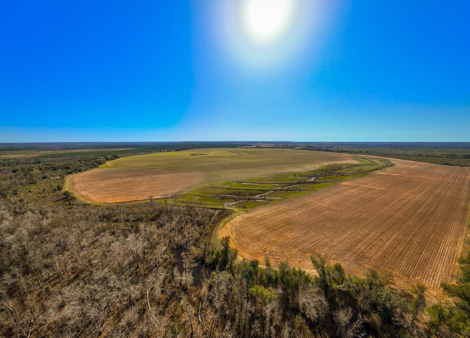 XXXX Rocky Creek Road, Marianna, Florida image 14