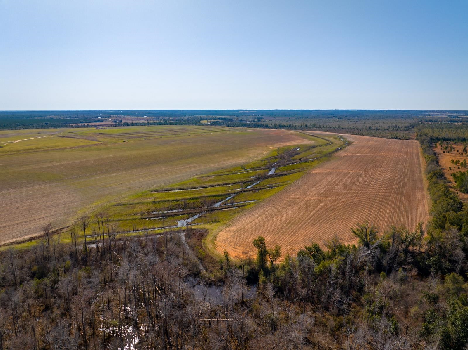 XXXX Rocky Creek Road, Marianna, Florida image 15