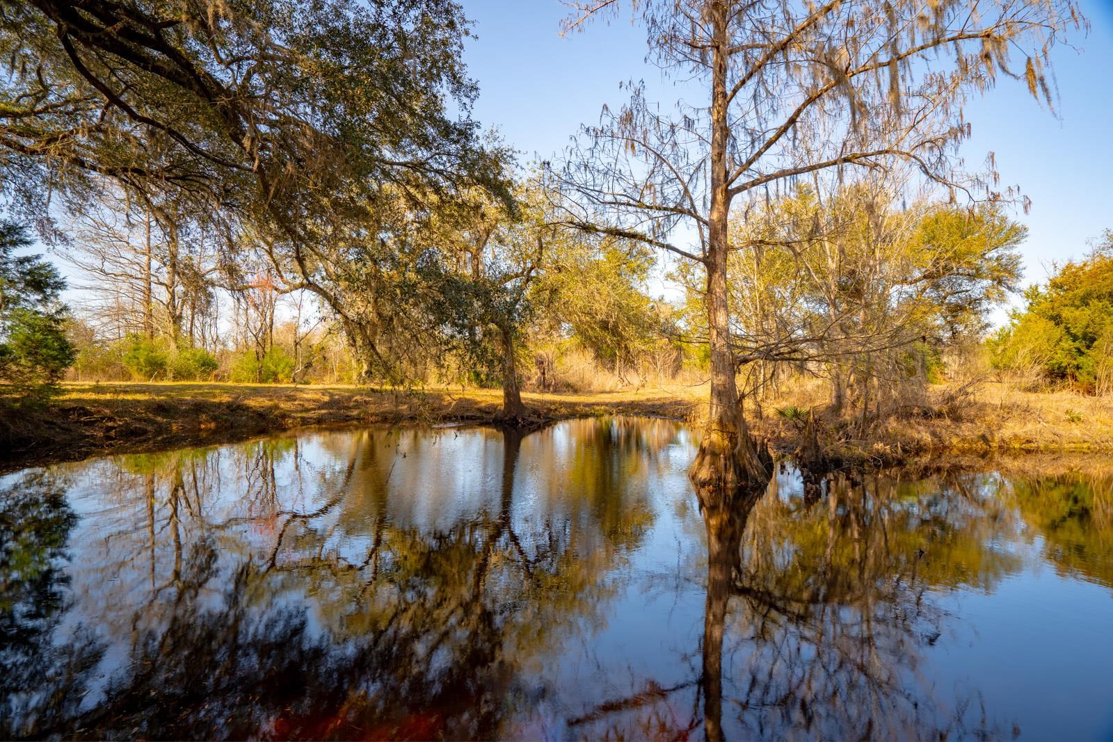 XXXX Rocky Creek Road, Marianna, Florida image 9
