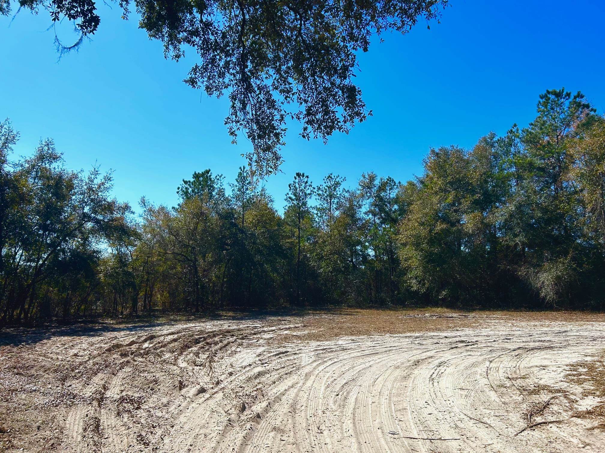 28 Allen, Sopchoppy, Florida image 1