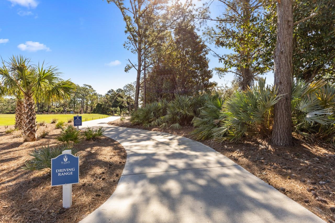 396 Royal Tern Way, Carrabelle, Florida image 33