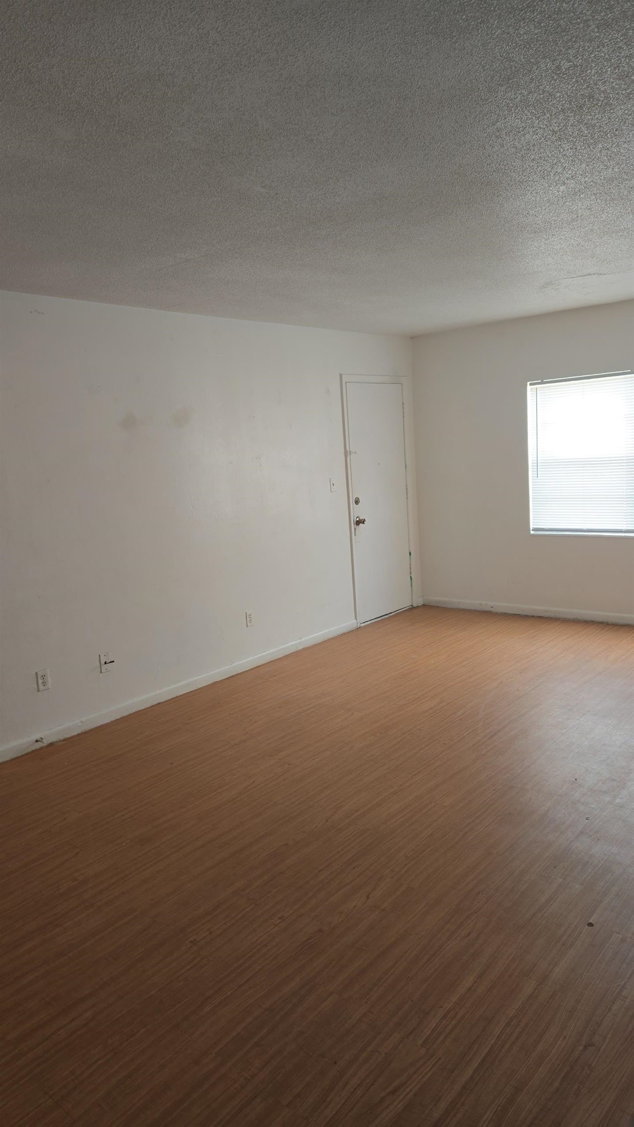 2325 W Pensacola Street #225, Tallahassee, Florida image 10