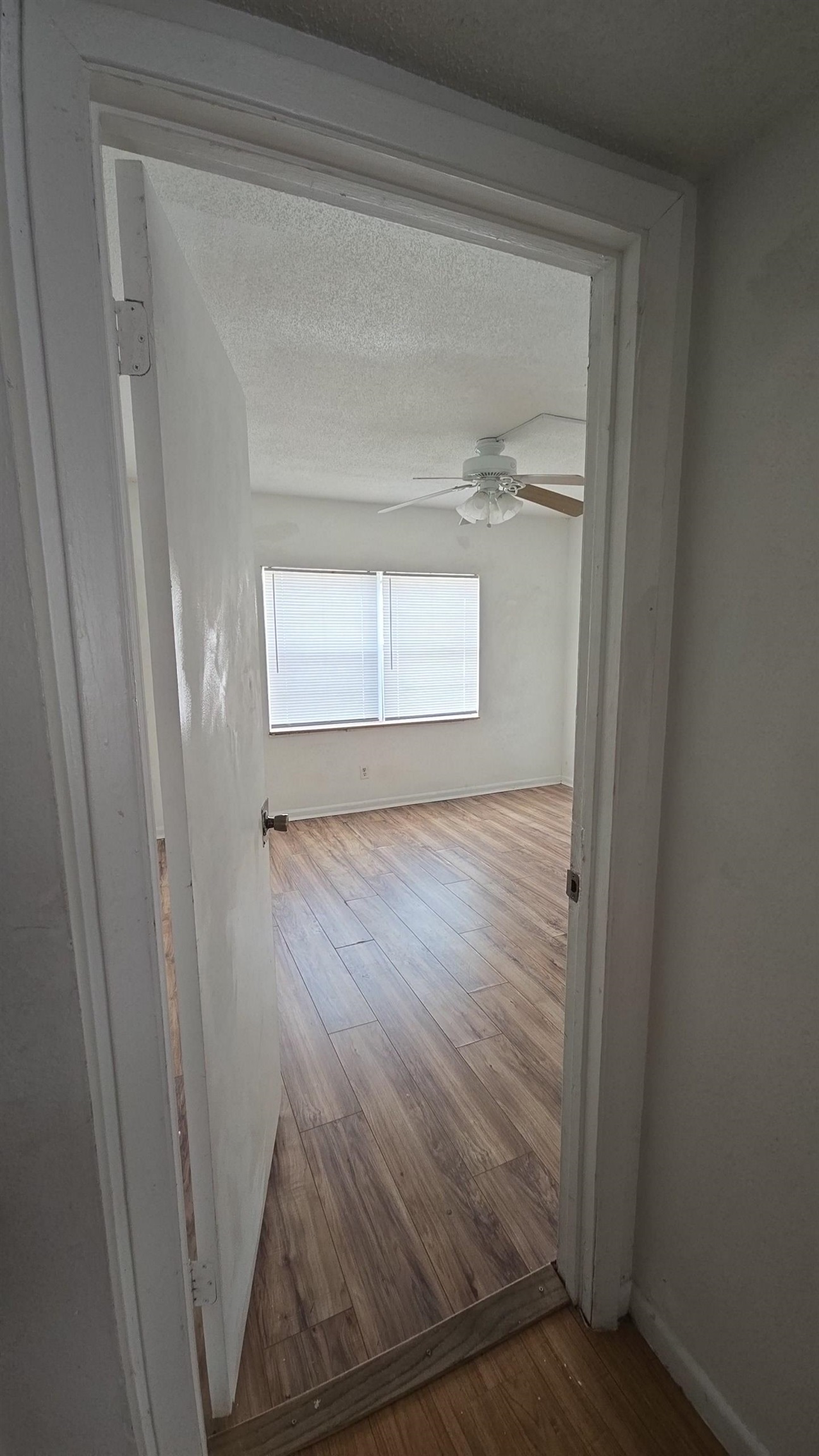 2325 W Pensacola Street #225, Tallahassee, Florida image 23