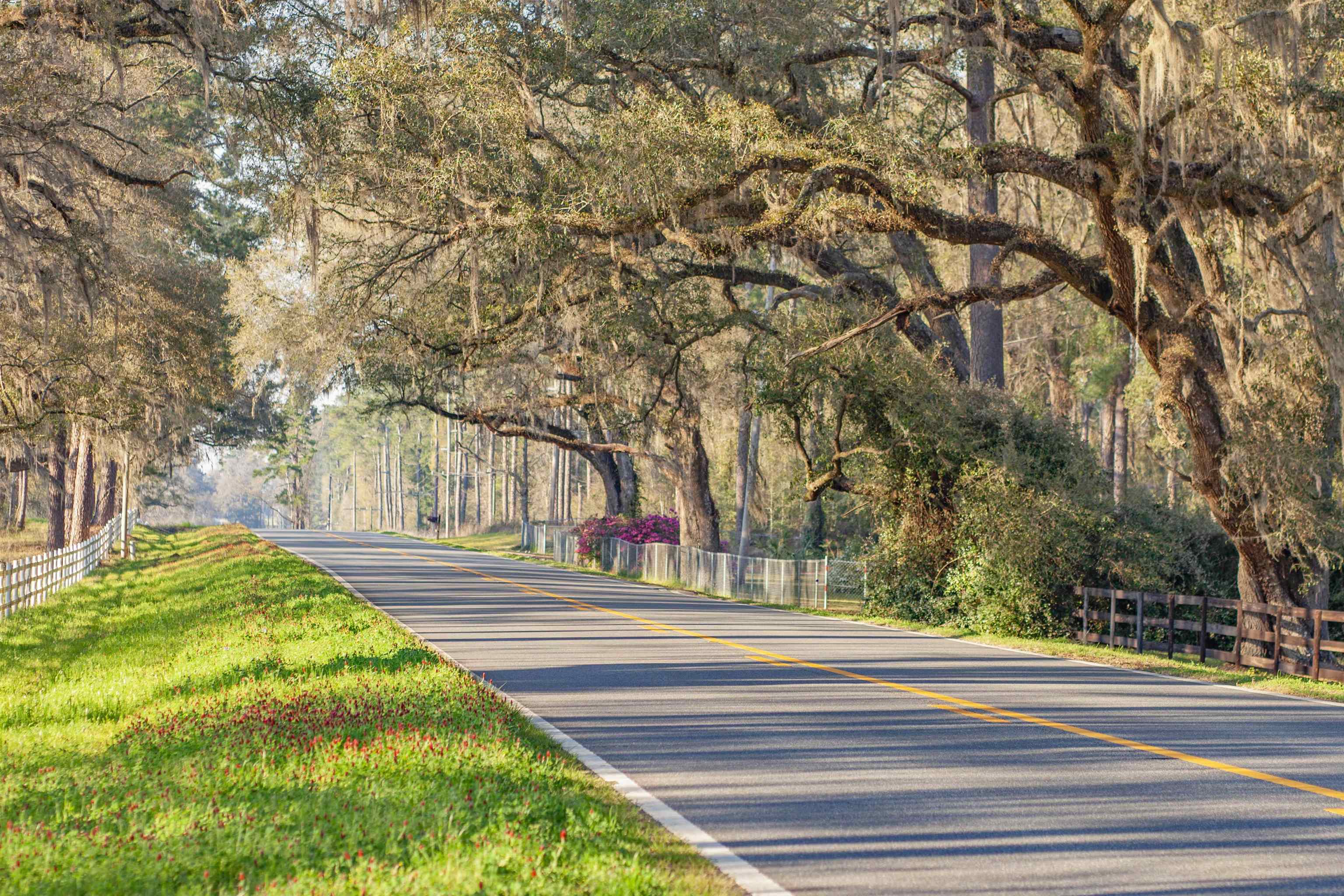 5009 Veterans Memorial Drive, Tallahassee, Florida image 37