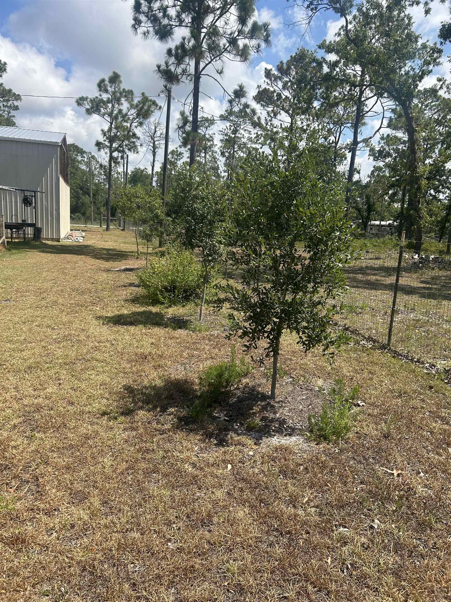 2255 White Oak Drive, Perry, Florida image 12
