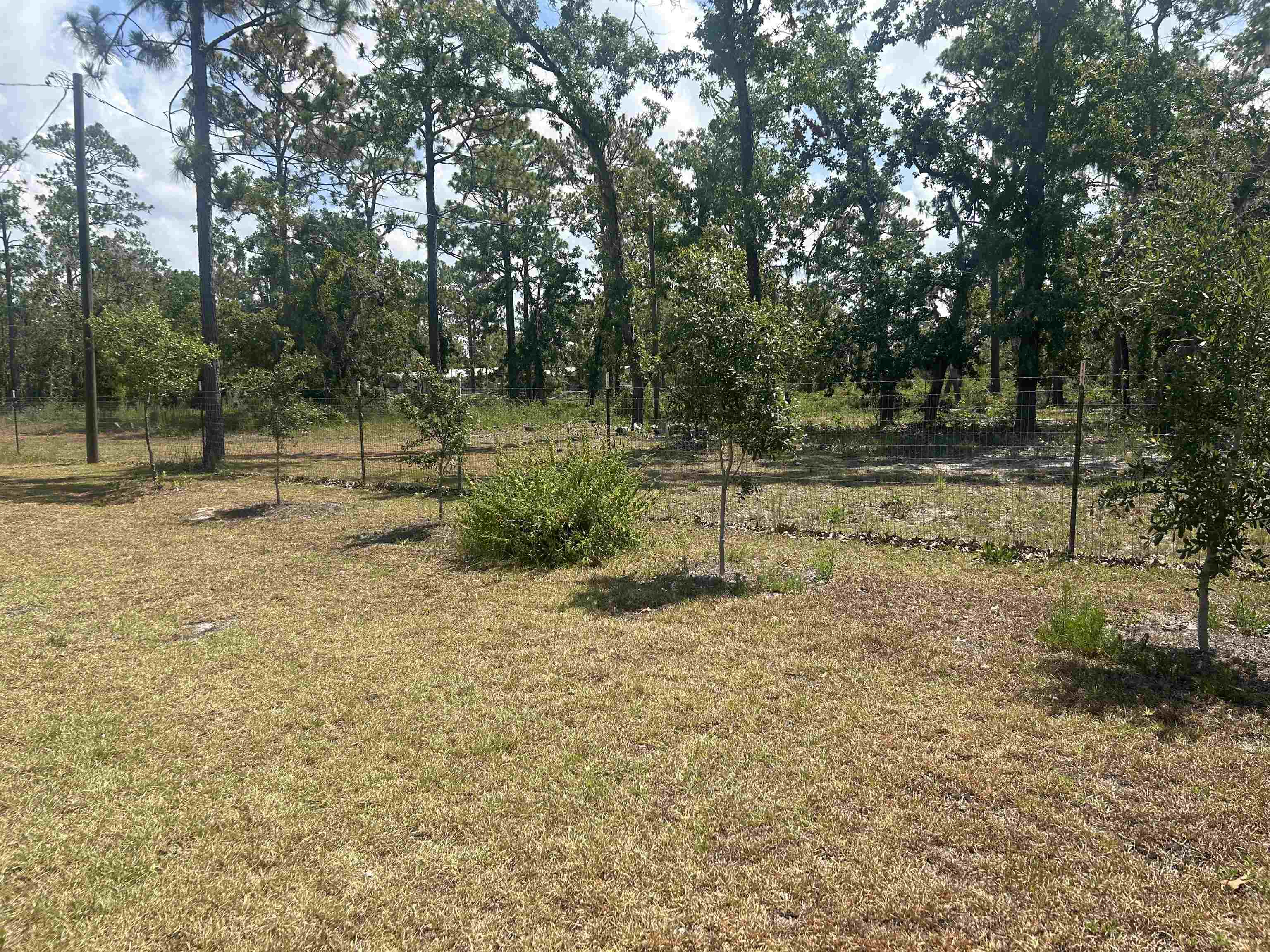 2255 White Oak Drive, Perry, Florida image 14