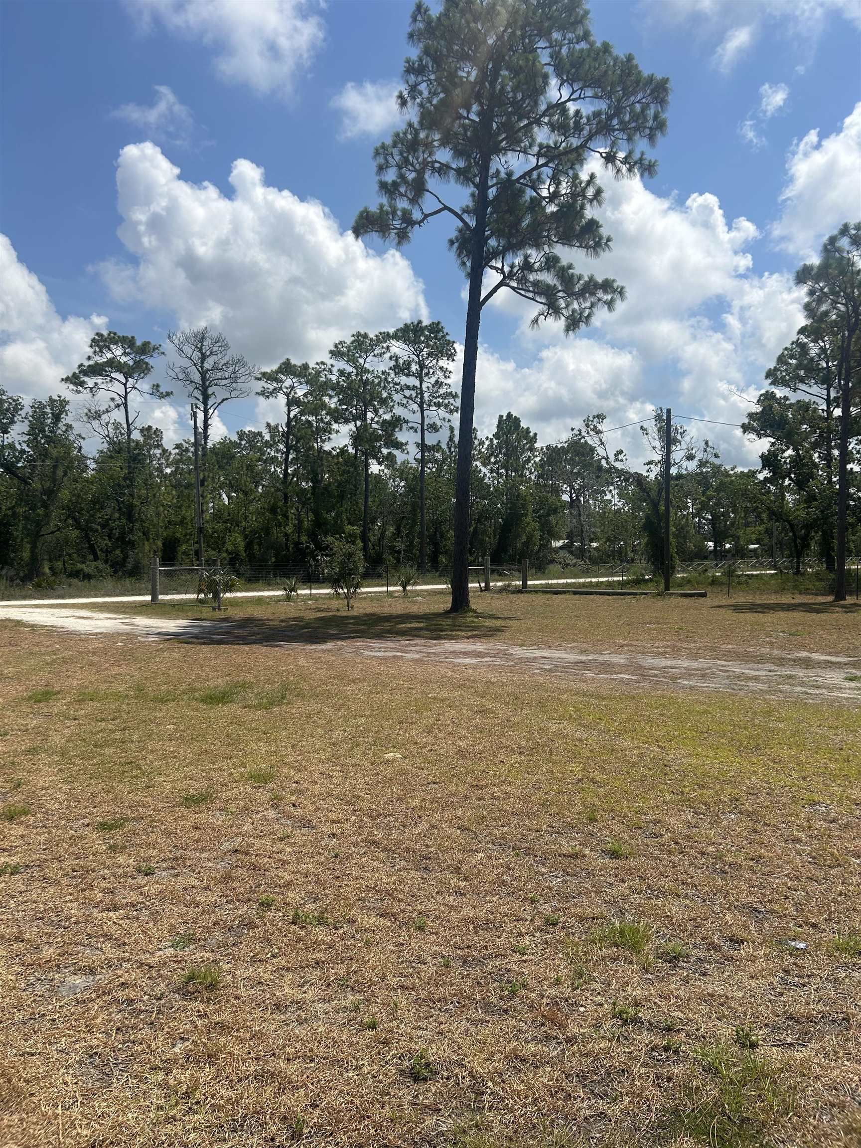 2255 White Oak Drive, Perry, Florida image 15
