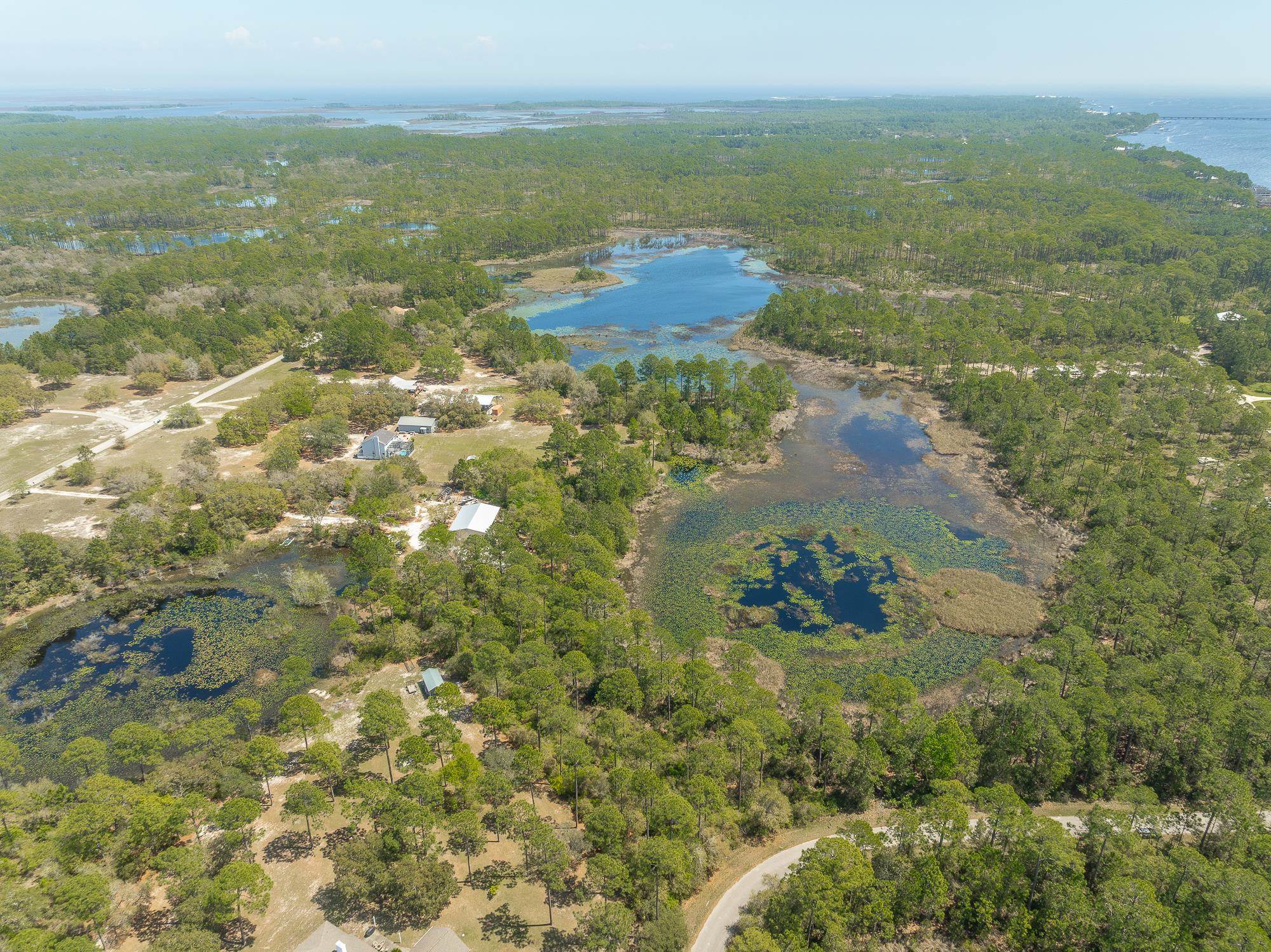 Lot 25 Pelican Way, Panacea, Florida image 5