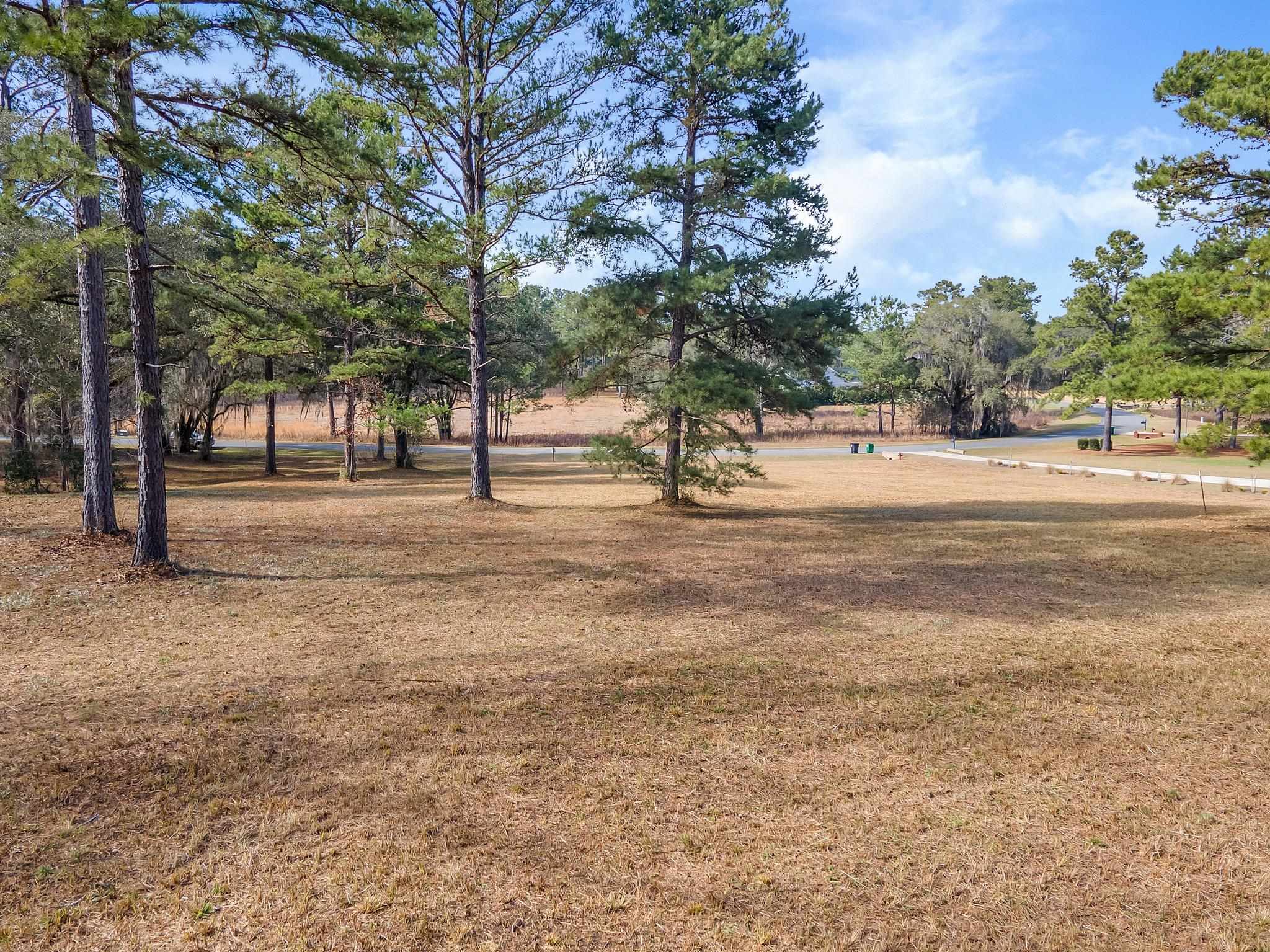 Pine Fair Way, Tallahassee, Florida image 10