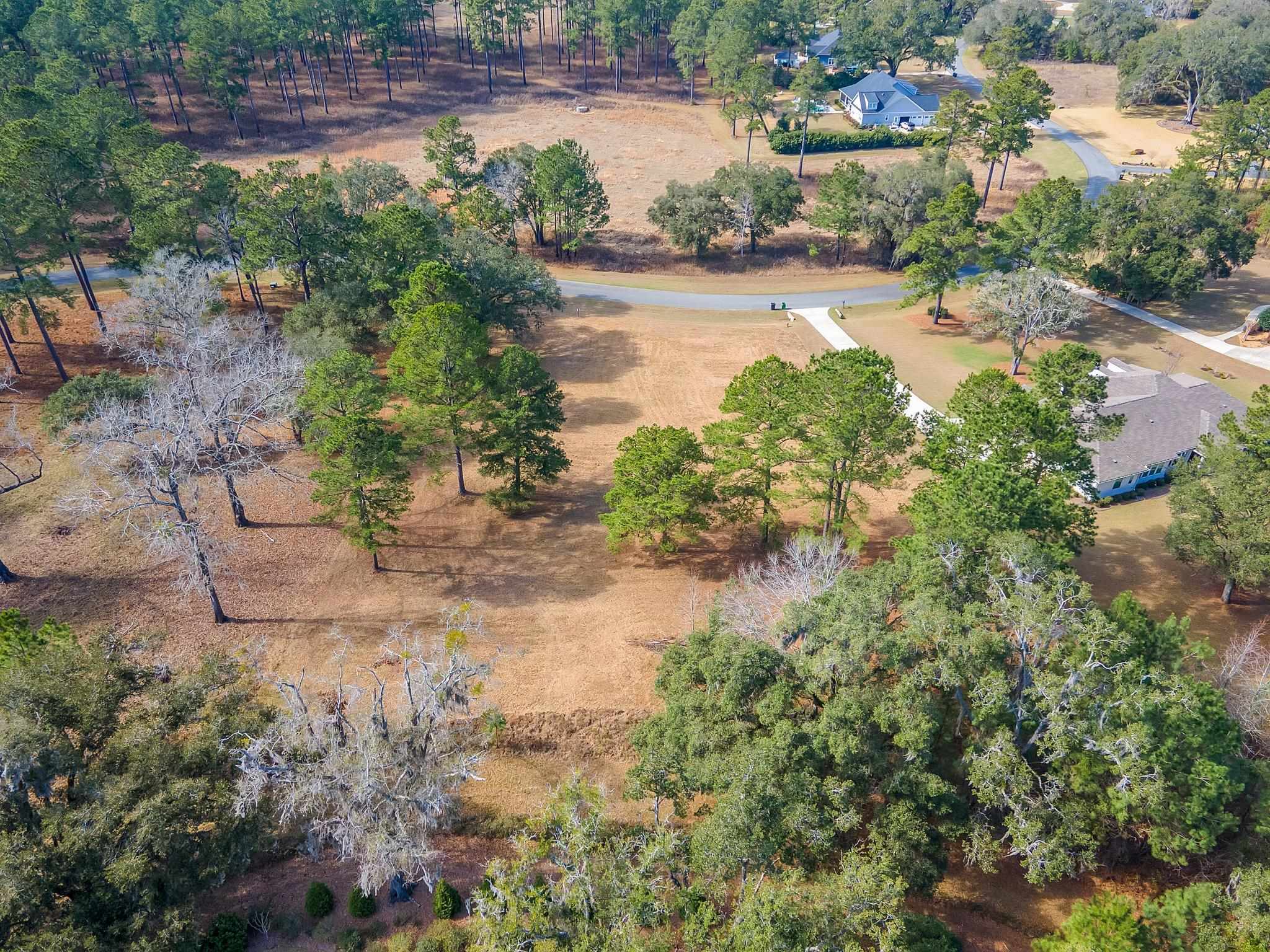 Pine Fair Way, Tallahassee, Florida image 11