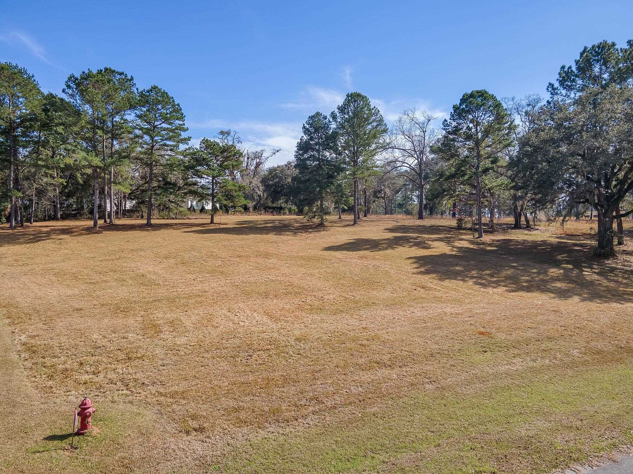 Pine Fair Way, Tallahassee, Florida image 4