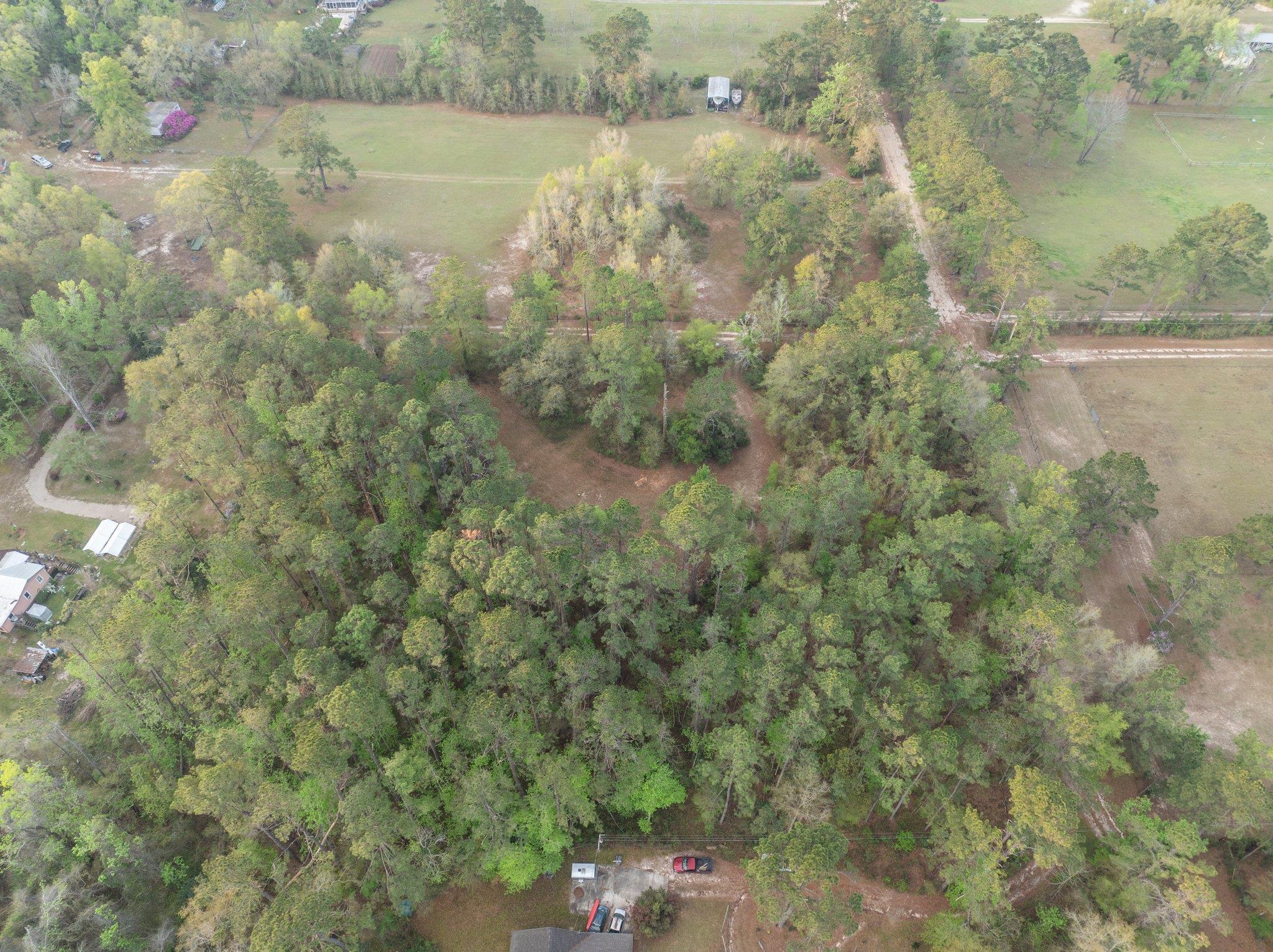 5618 Hoover Court, Tallahassee, Florida image 4