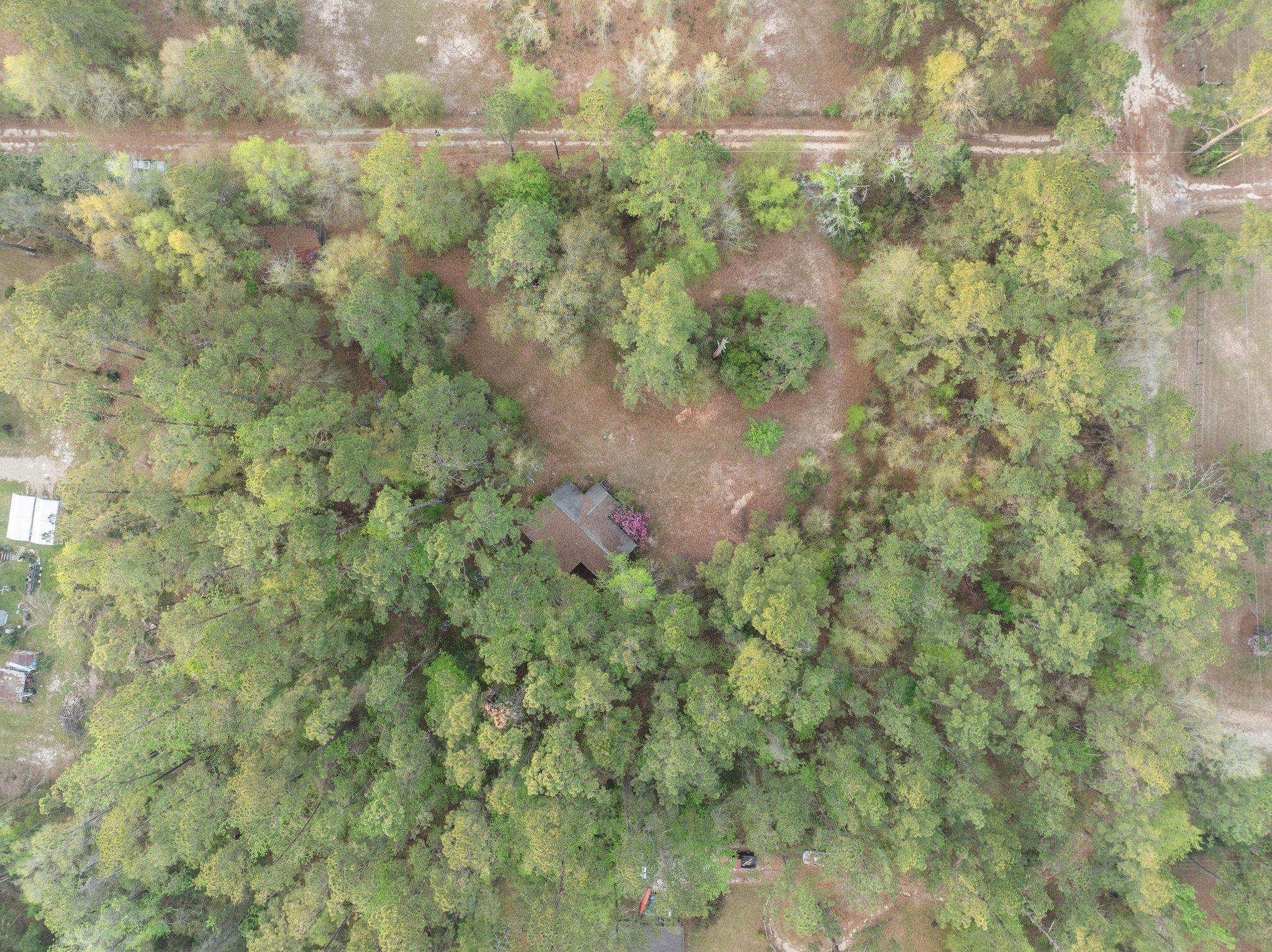 5618 Hoover Court, Tallahassee, Florida image 6