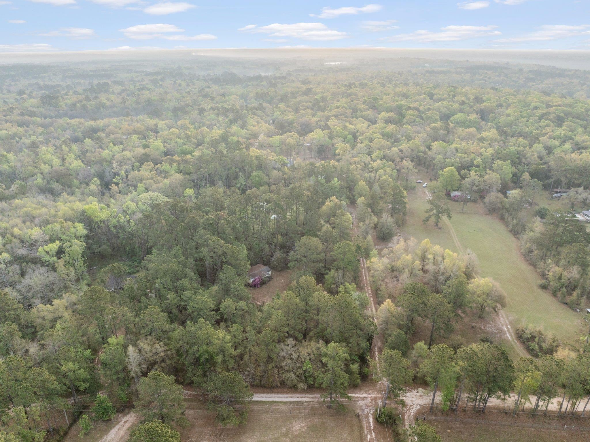 5618 Hoover Court, Tallahassee, Florida image 7