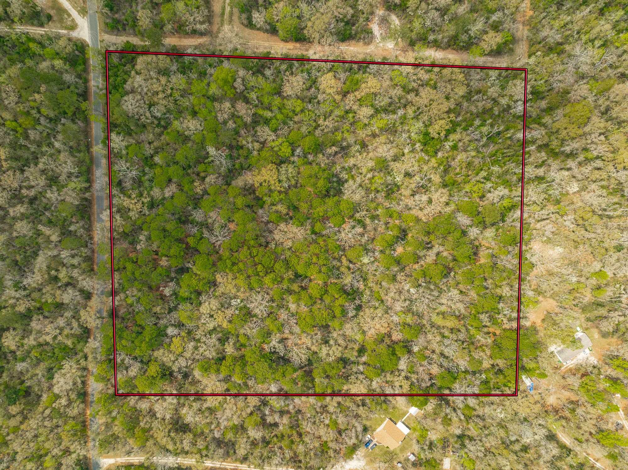 Xxx Staten Road, Crawfordville, Florida image 11