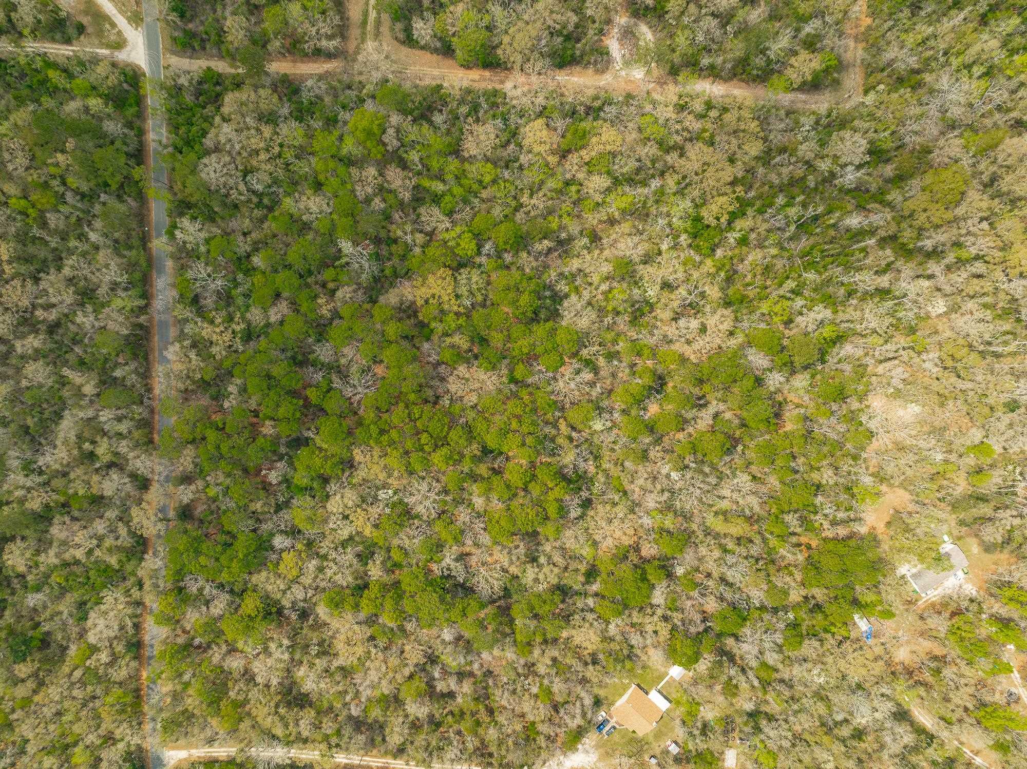 Xxx Staten Road, Crawfordville, Florida image 12