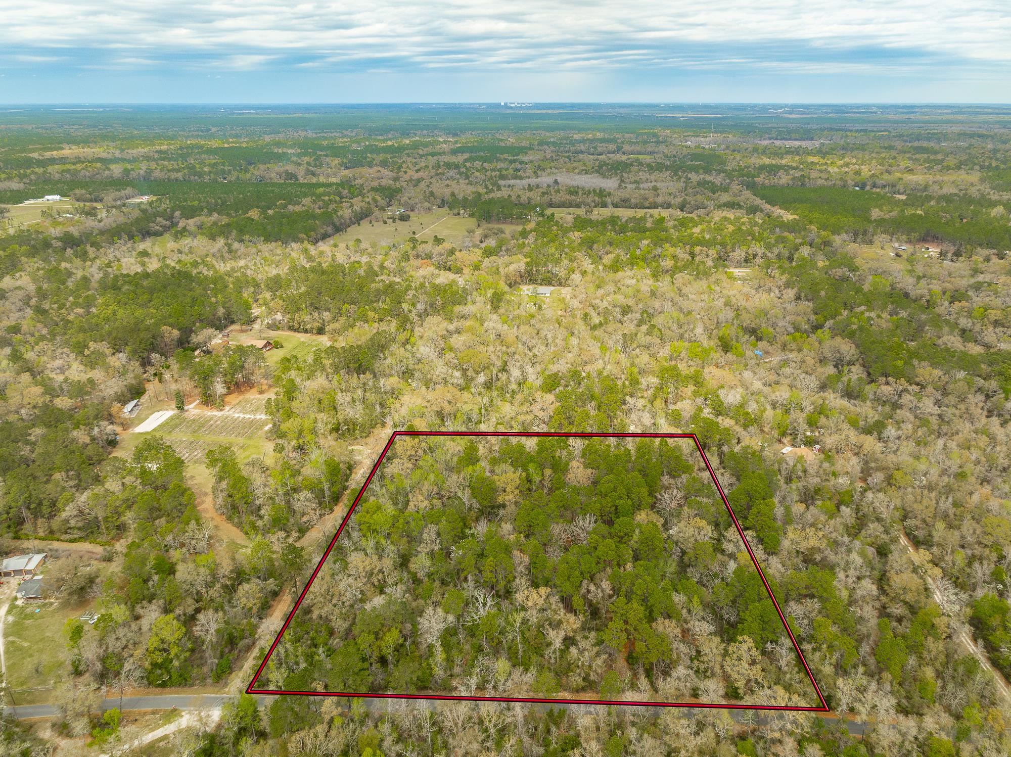 Xxx Staten Road, Crawfordville, Florida image 3
