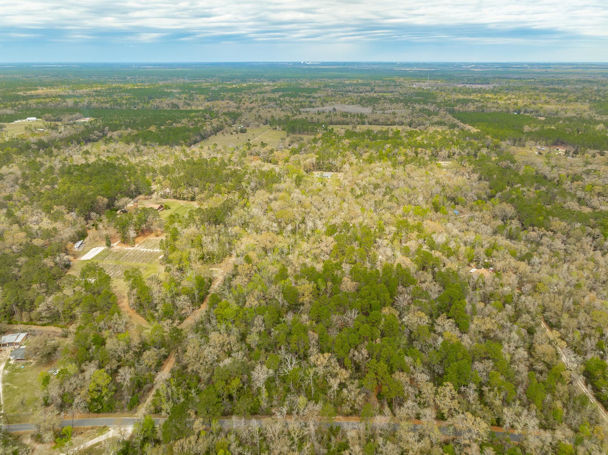 Xxx Staten Road, Crawfordville, Florida image 4