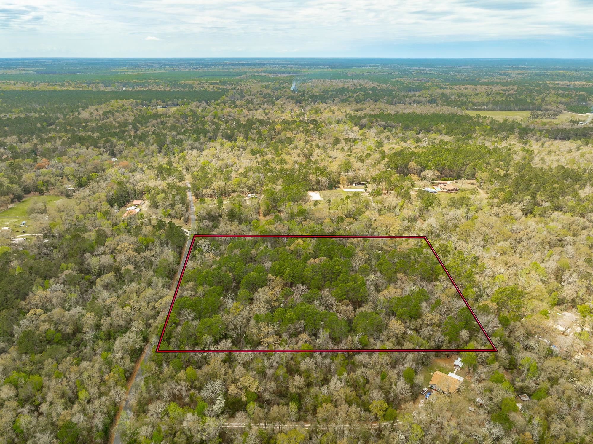 Xxx Staten Road, Crawfordville, Florida image 9