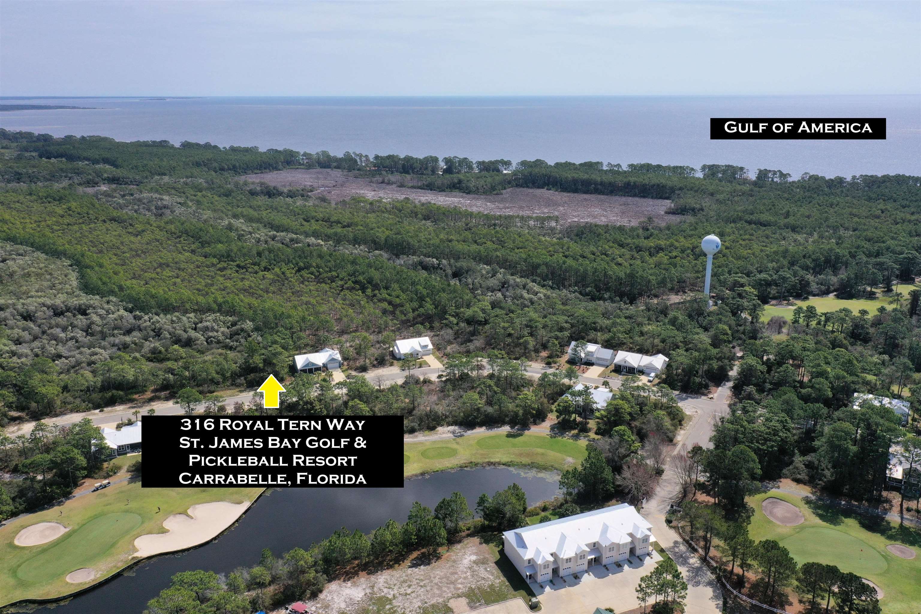 316 Royal Tern Way, Carrabelle, Florida image 1