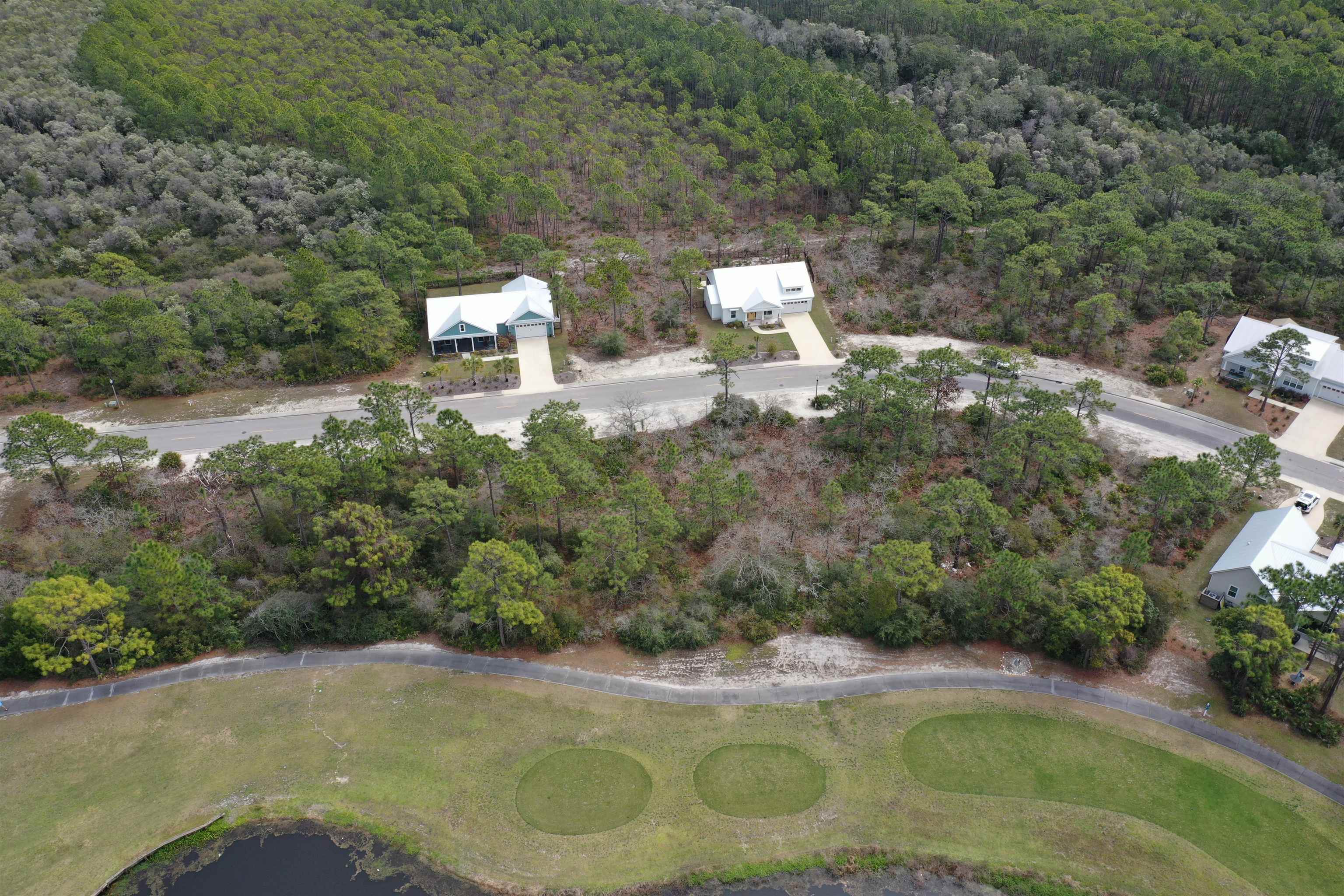 316 Royal Tern Way, Carrabelle, Florida image 10
