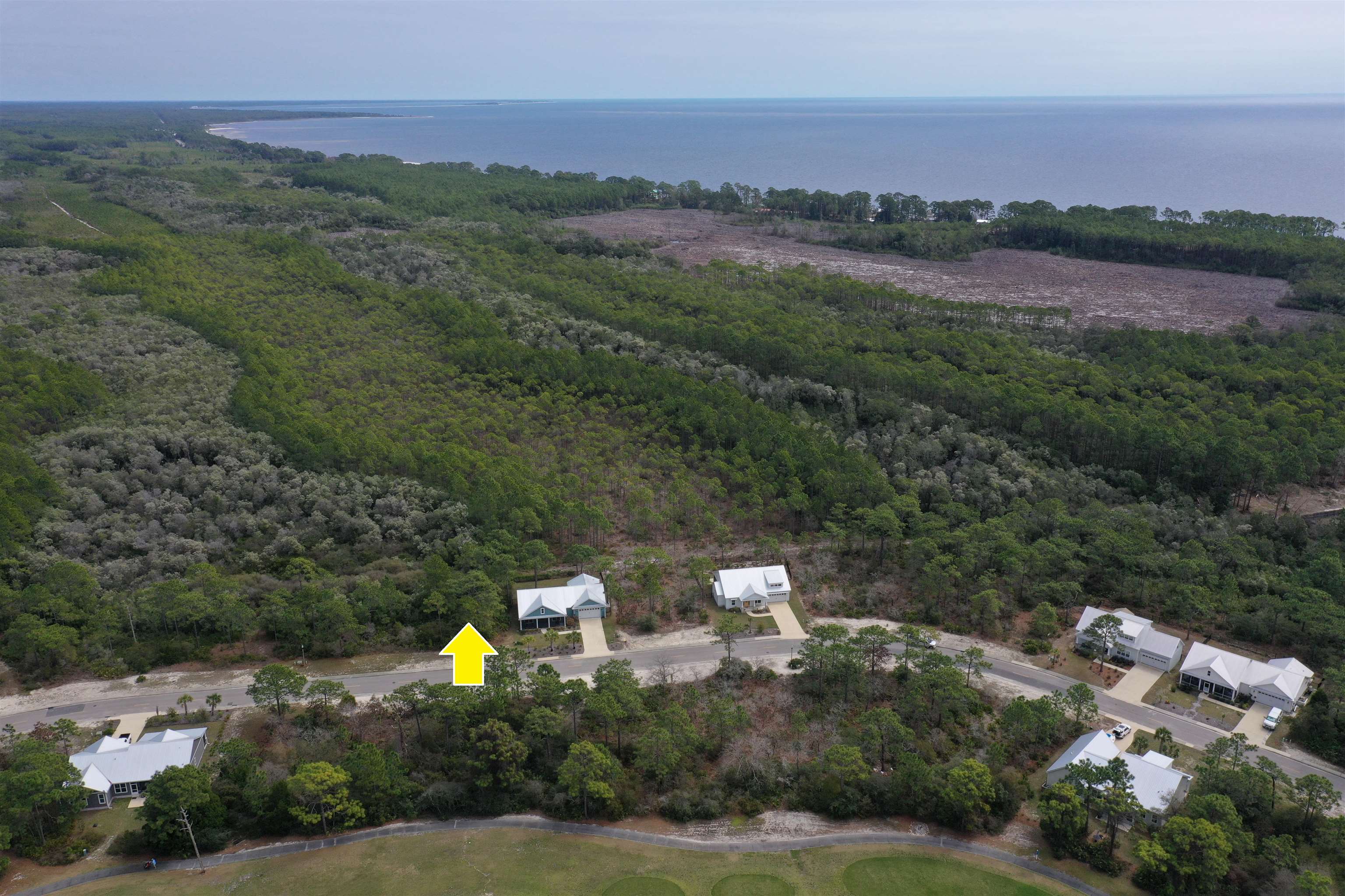 316 Royal Tern Way, Carrabelle, Florida image 11