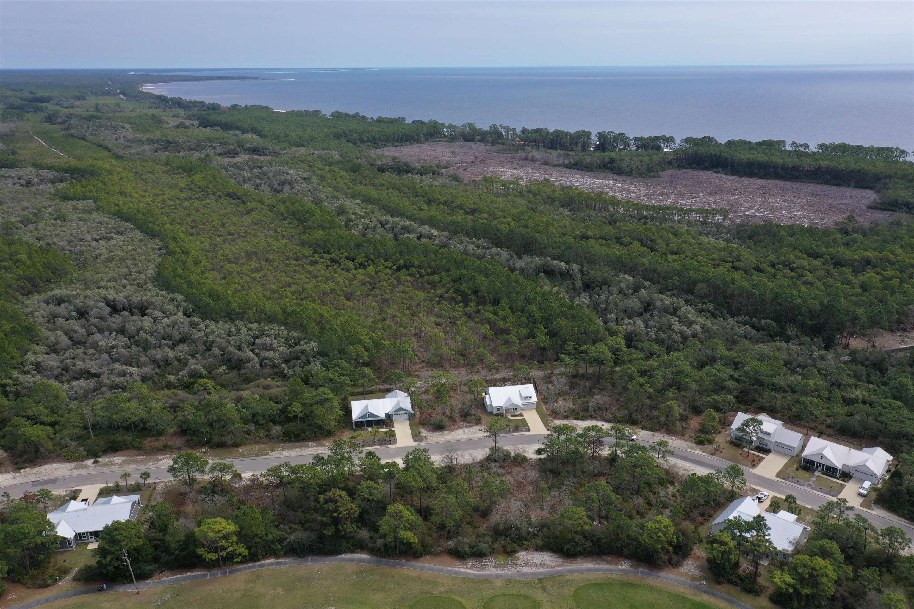 316 Royal Tern Way, Carrabelle, Florida image 12