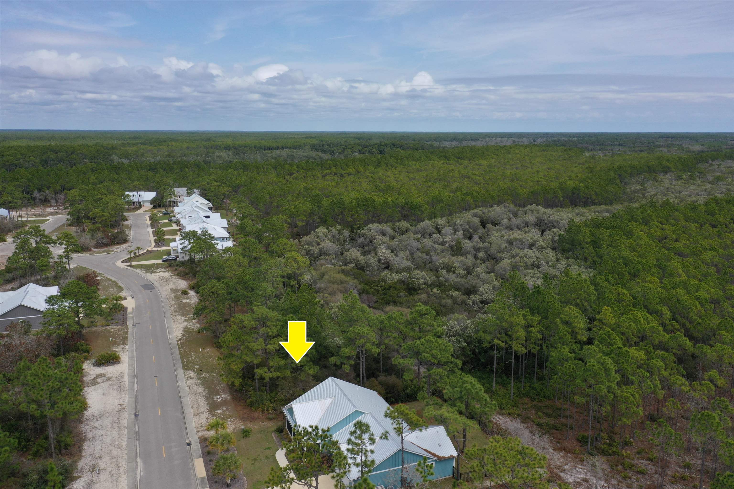 316 Royal Tern Way, Carrabelle, Florida image 13