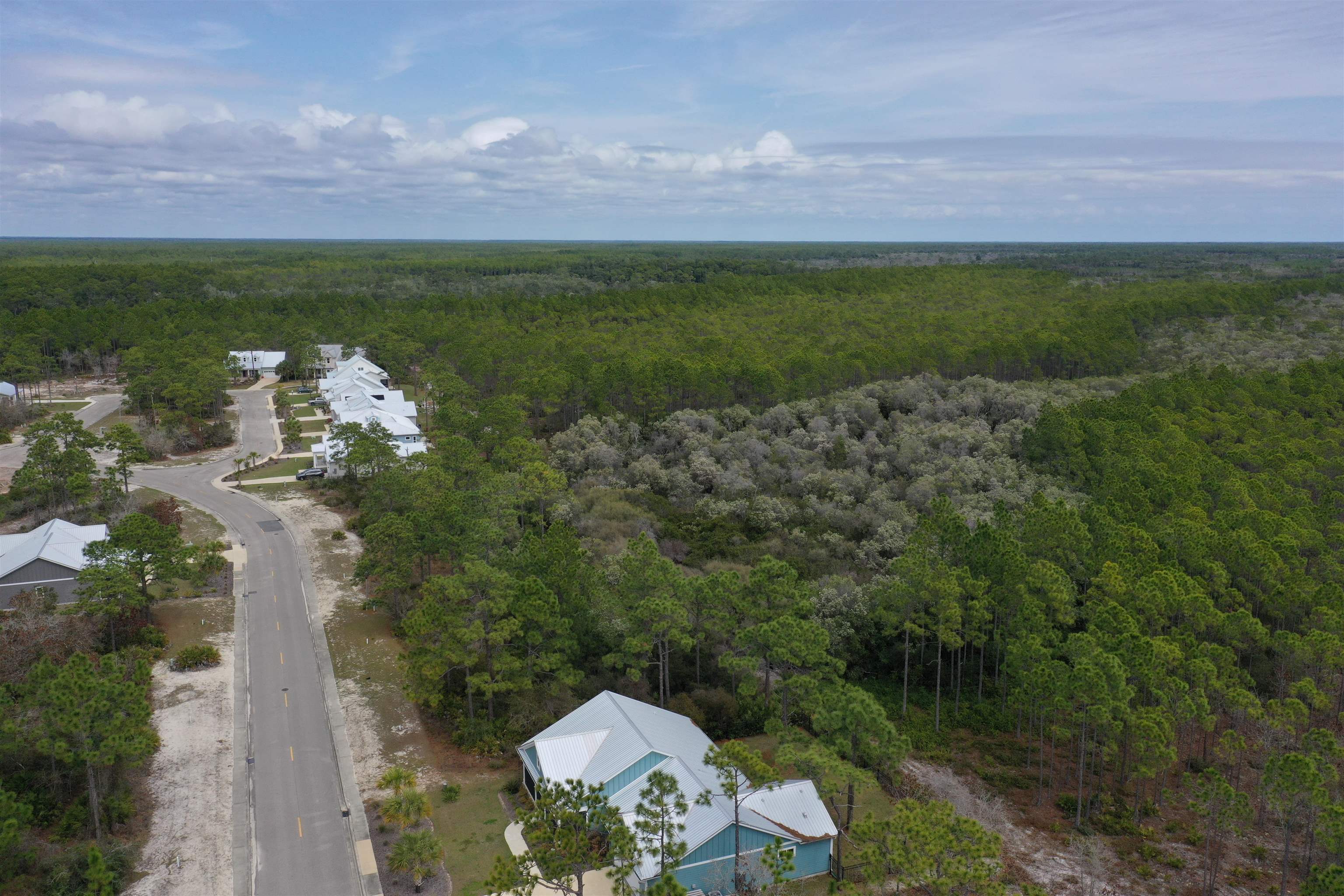 316 Royal Tern Way, Carrabelle, Florida image 14