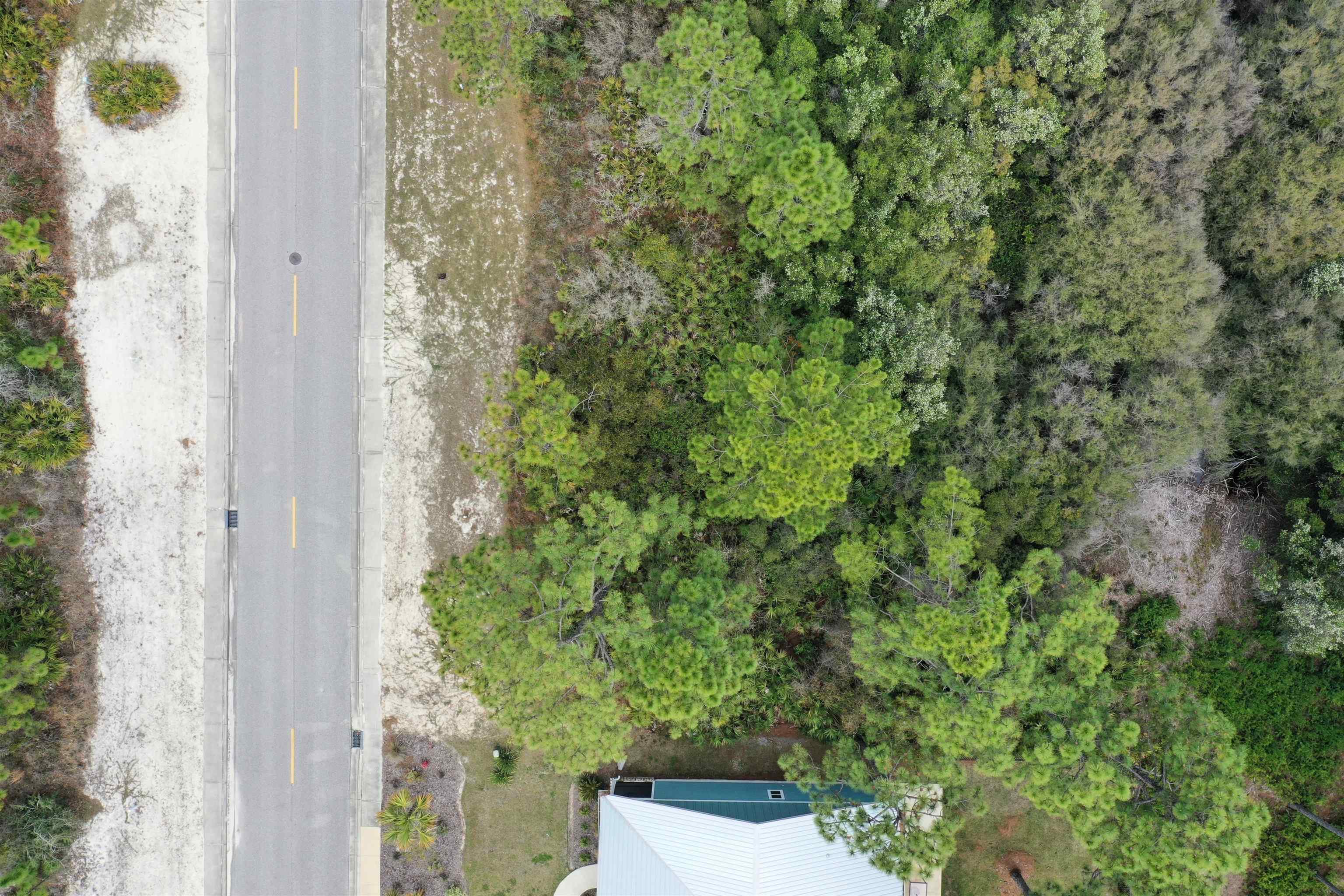 316 Royal Tern Way, Carrabelle, Florida image 16
