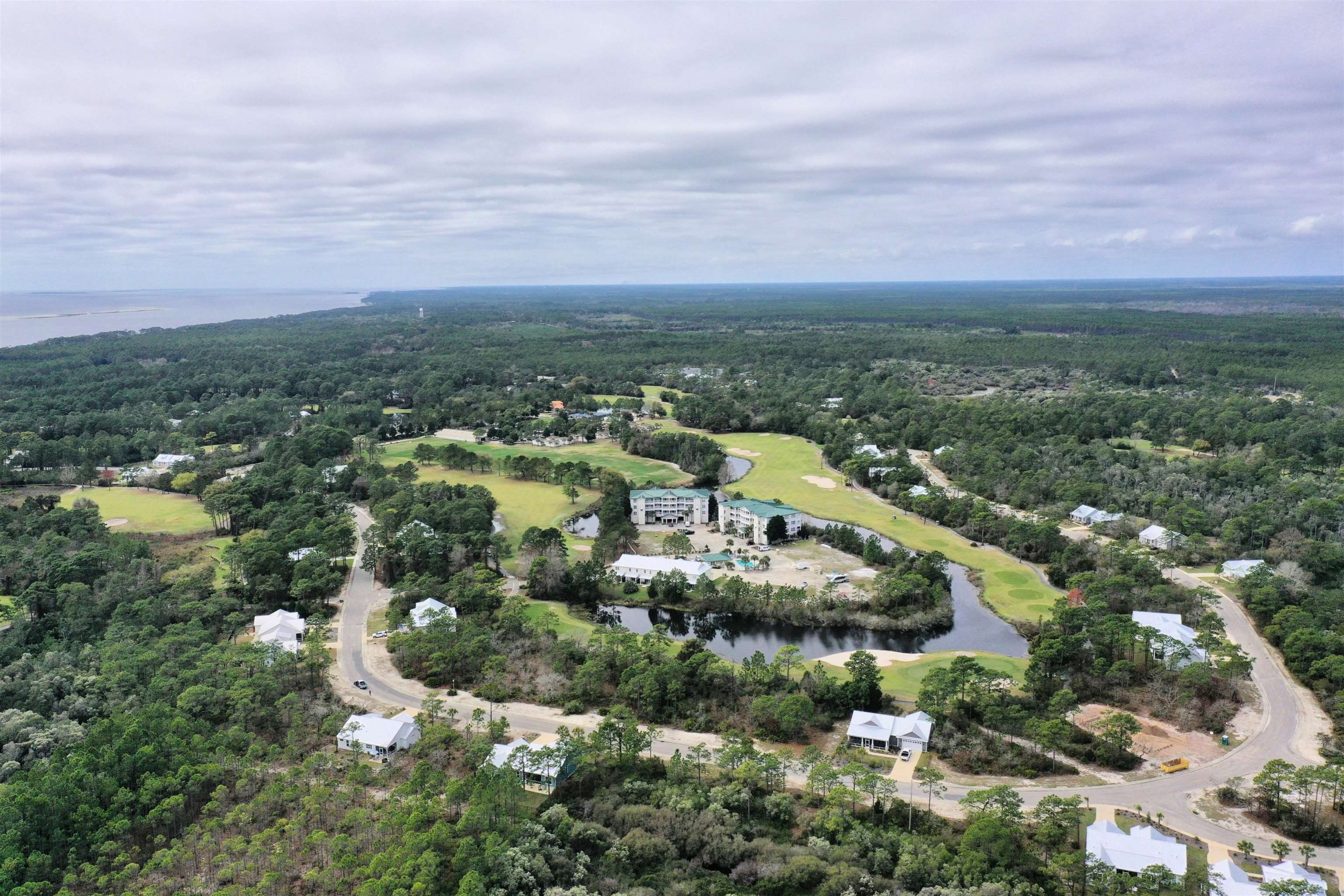 316 Royal Tern Way, Carrabelle, Florida image 20