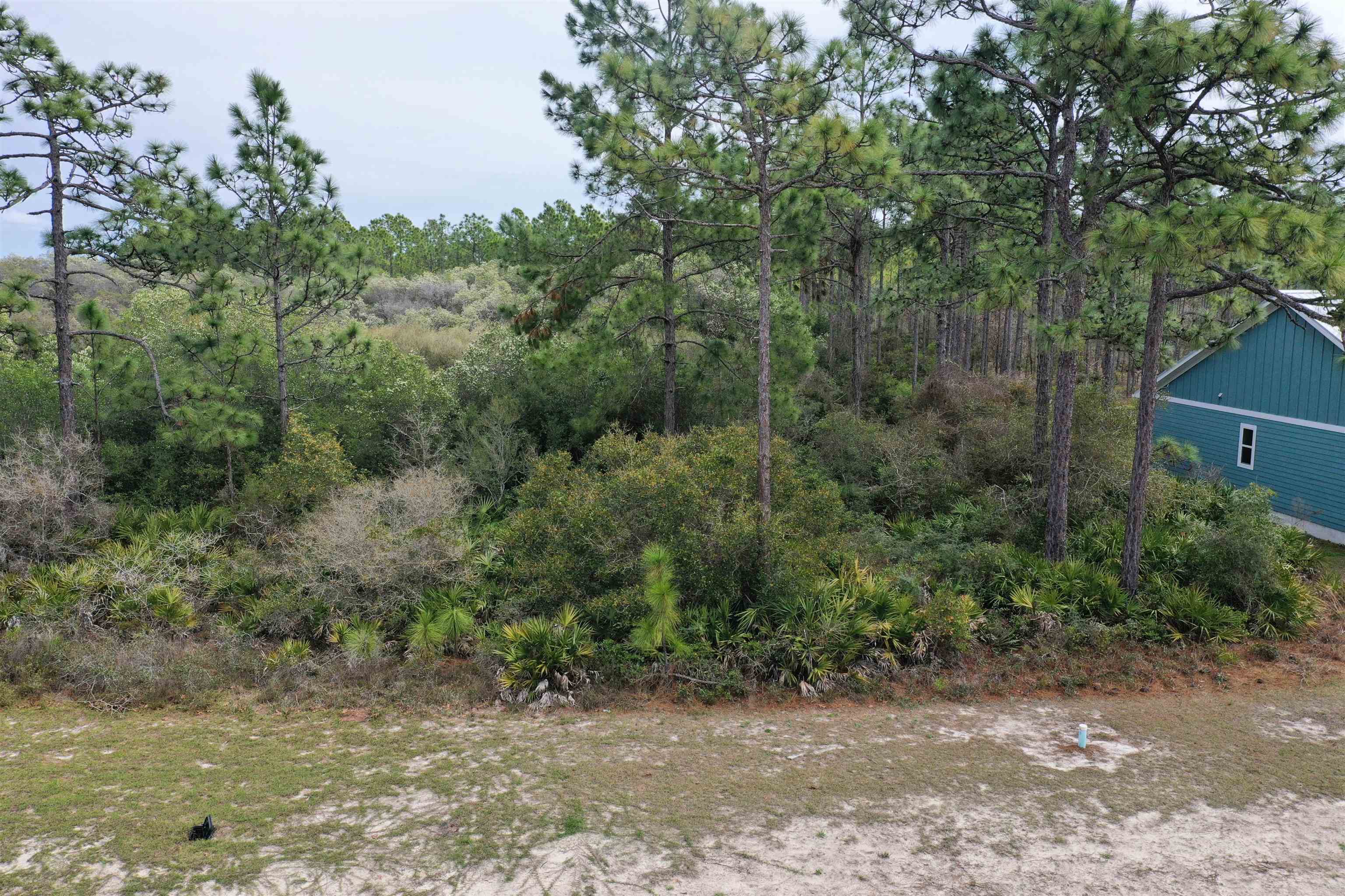 316 Royal Tern Way, Carrabelle, Florida image 21