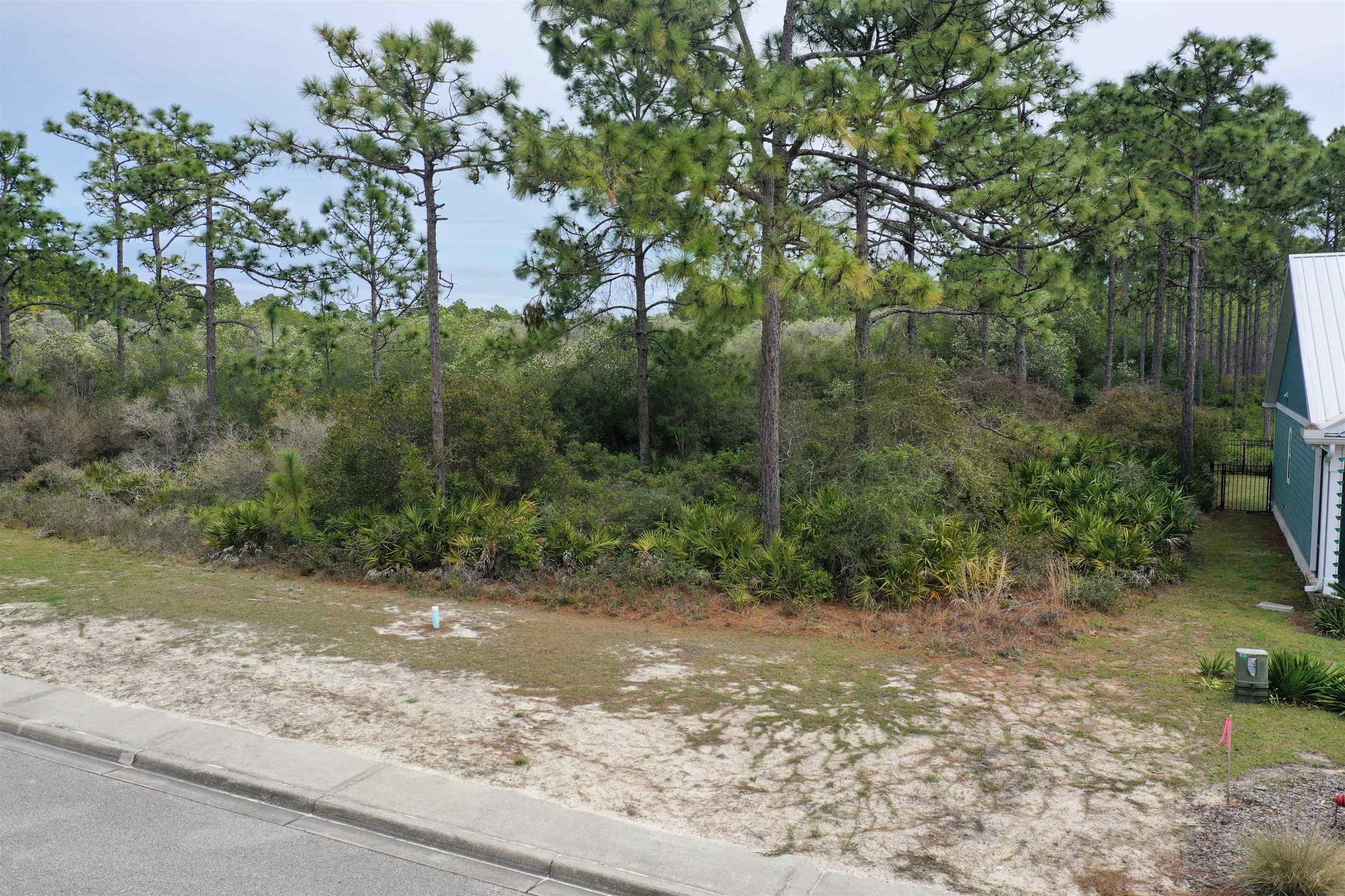 316 Royal Tern Way, Carrabelle, Florida image 22