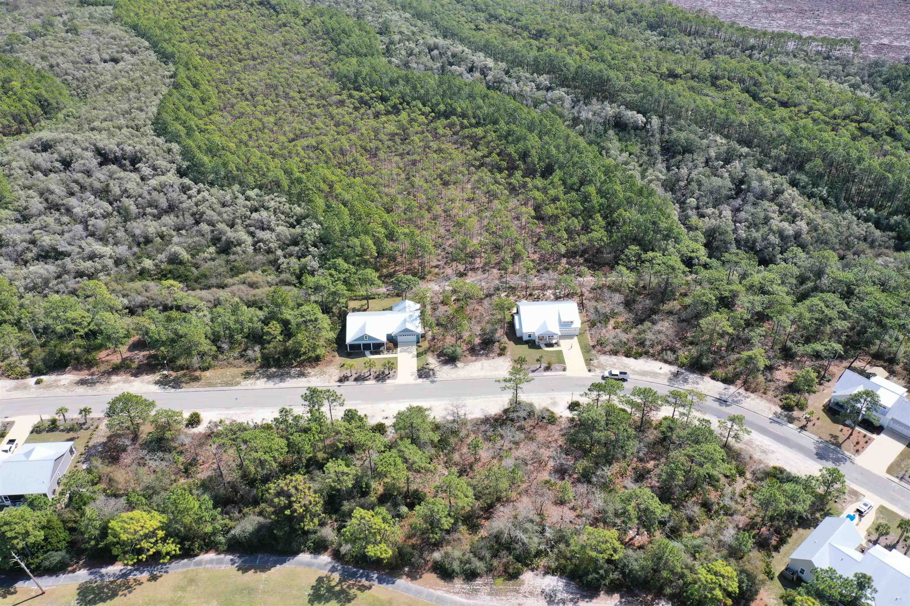 316 Royal Tern Way, Carrabelle, Florida image 6