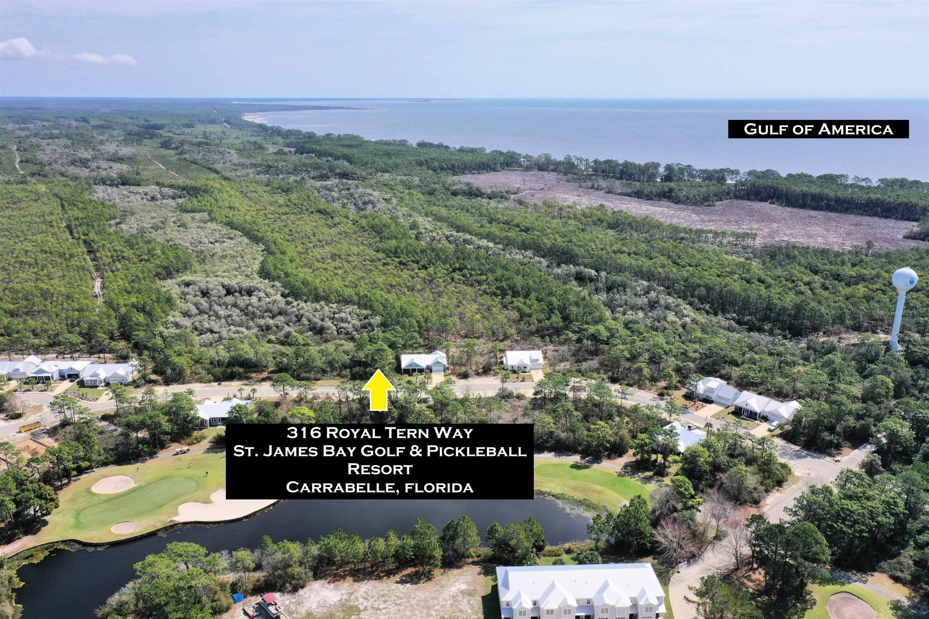 316 Royal Tern Way, Carrabelle, Florida image 7