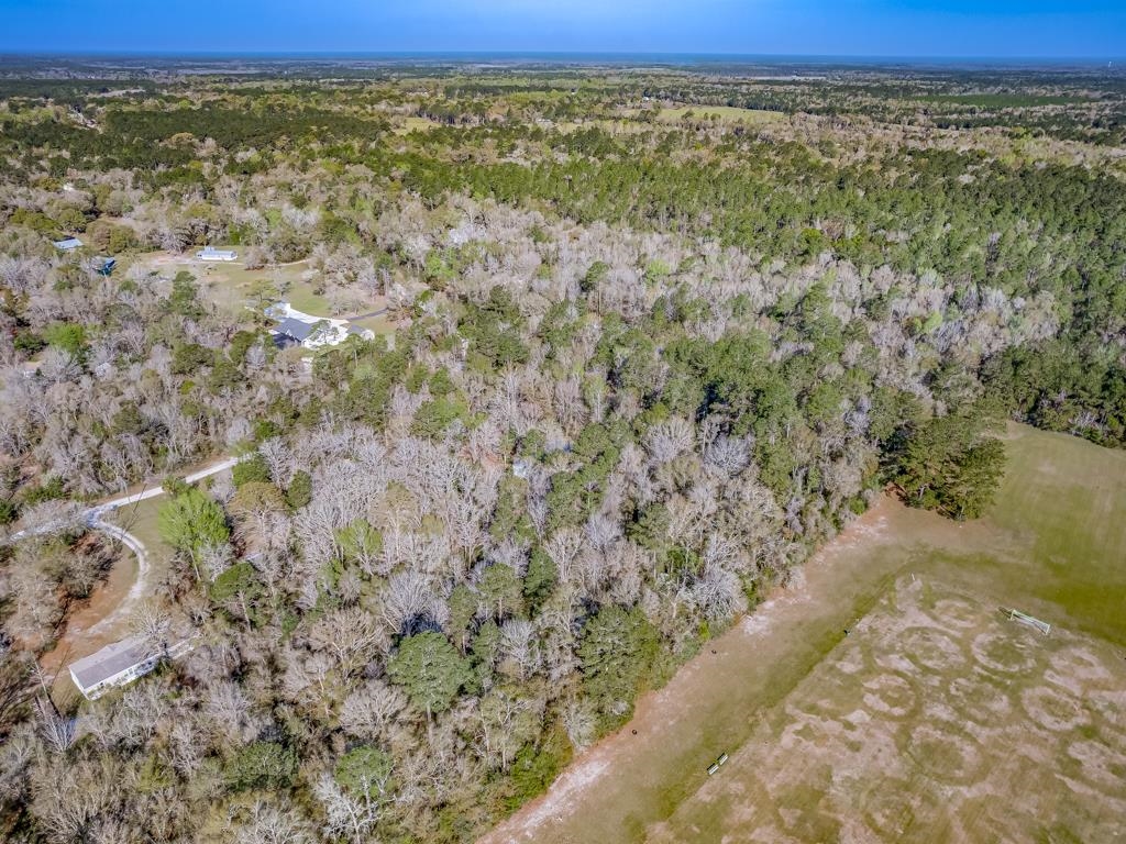 146 N Windsong Circle, Crawfordville, Florida image 11