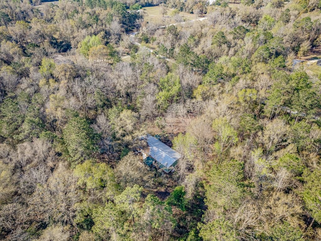 146 N Windsong Circle, Crawfordville, Florida image 15