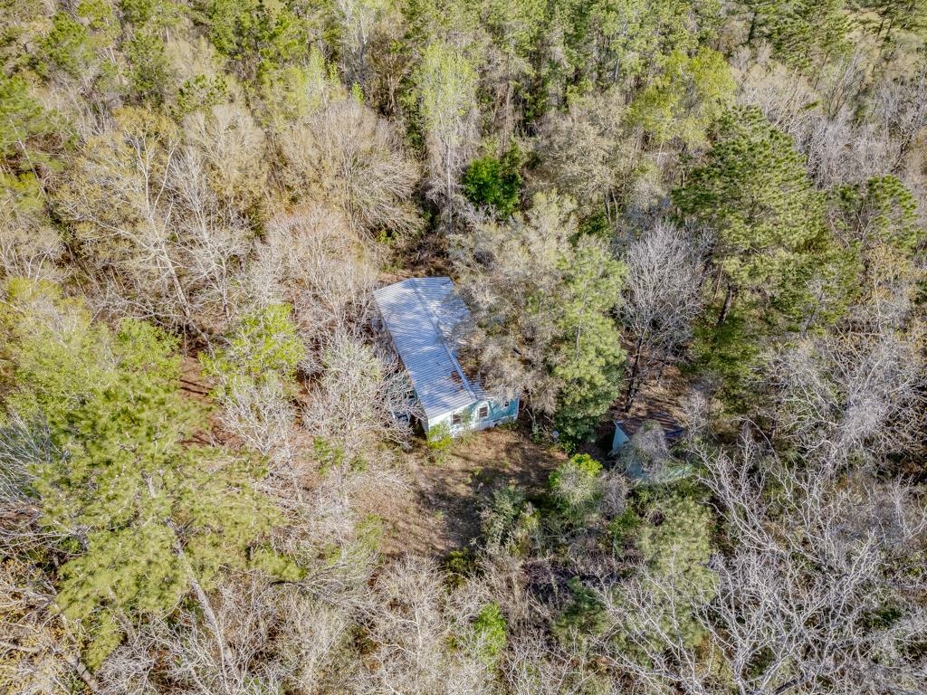 146 N Windsong Circle, Crawfordville, Florida image 17