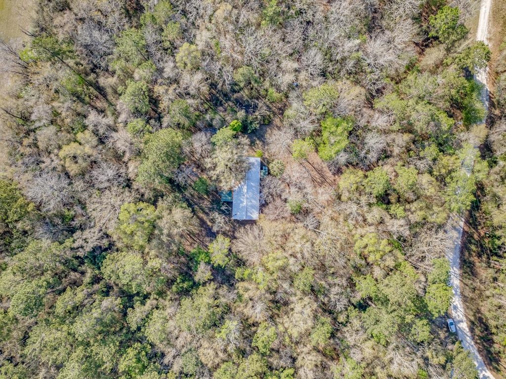 146 N Windsong Circle, Crawfordville, Florida image 2