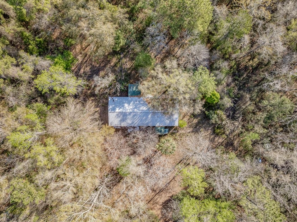 146 N Windsong Circle, Crawfordville, Florida image 22