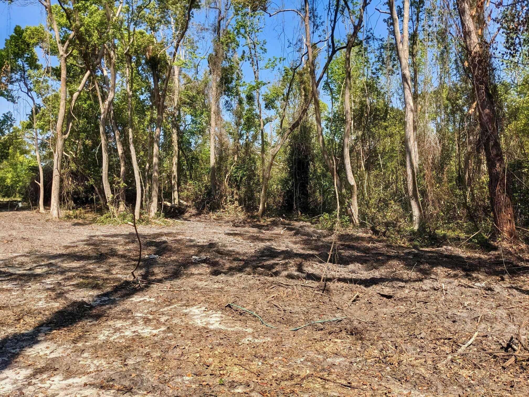 SE Stephens Avenue, Madison, Florida image 10