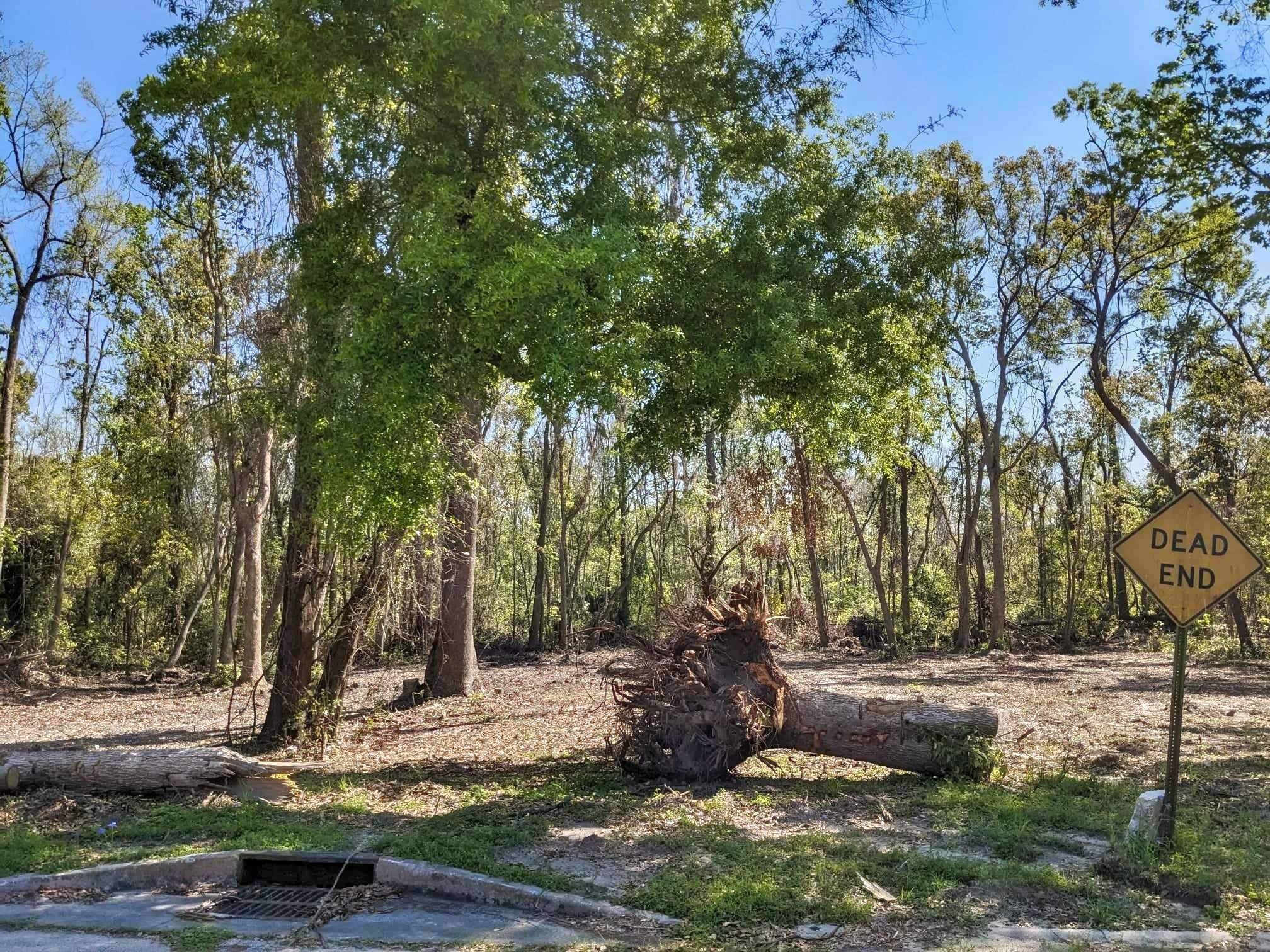 SE Stephens Avenue, Madison, Florida image 13