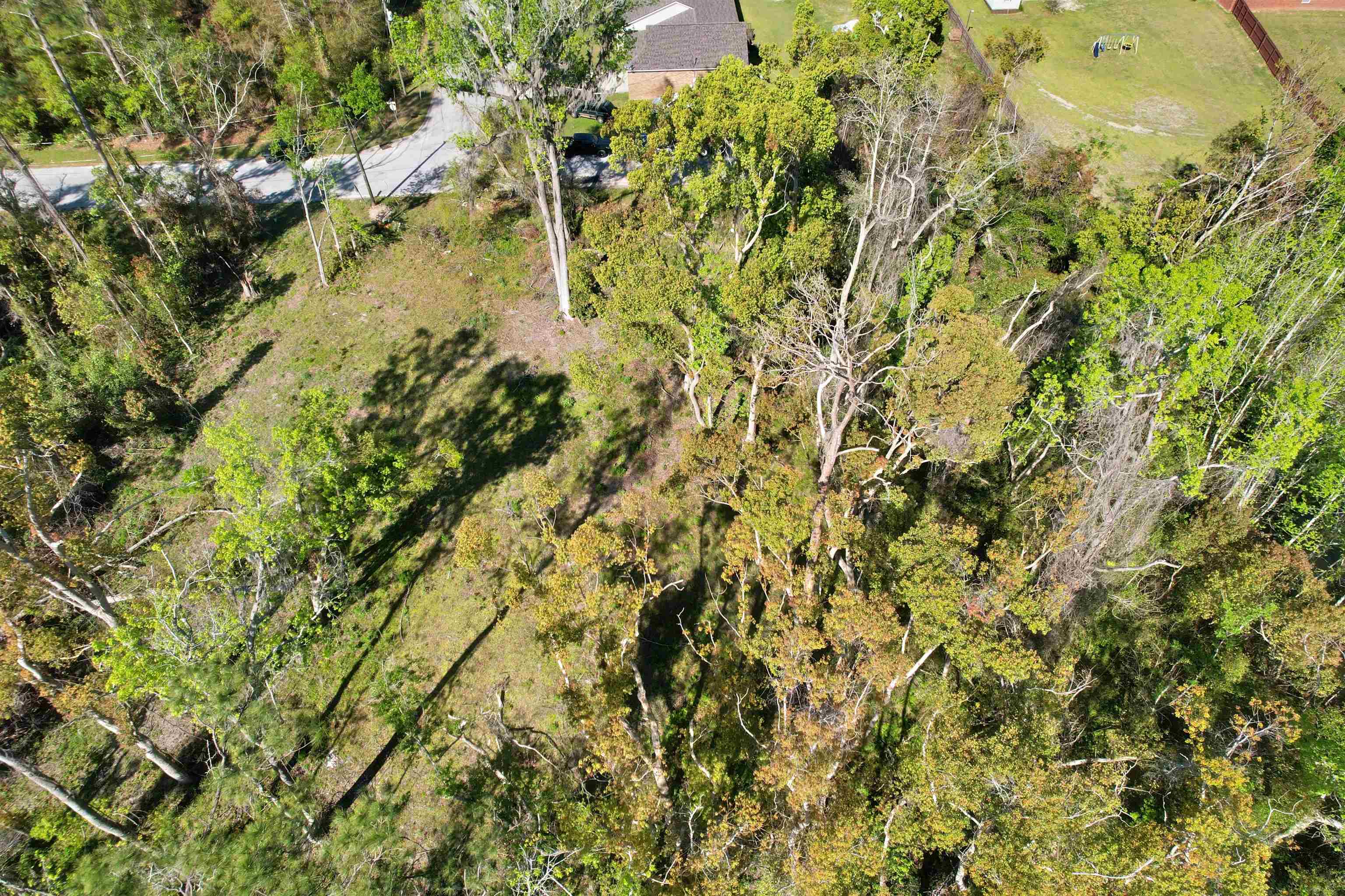 SE Stephens Avenue, Madison, Florida image 16